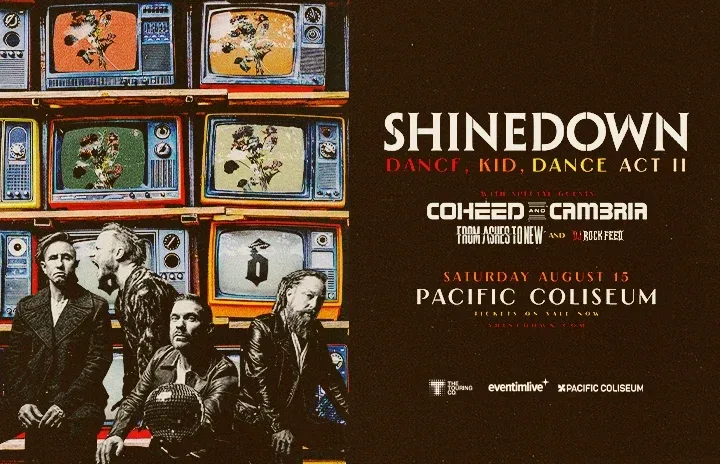 Shinedown Concert Ticket