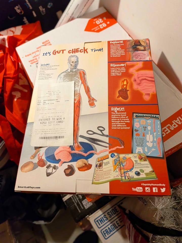 SmartLab Toys Squishy Human Body Science Kit - photo 2