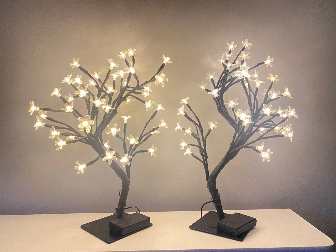 Bonsai Tree Night Light