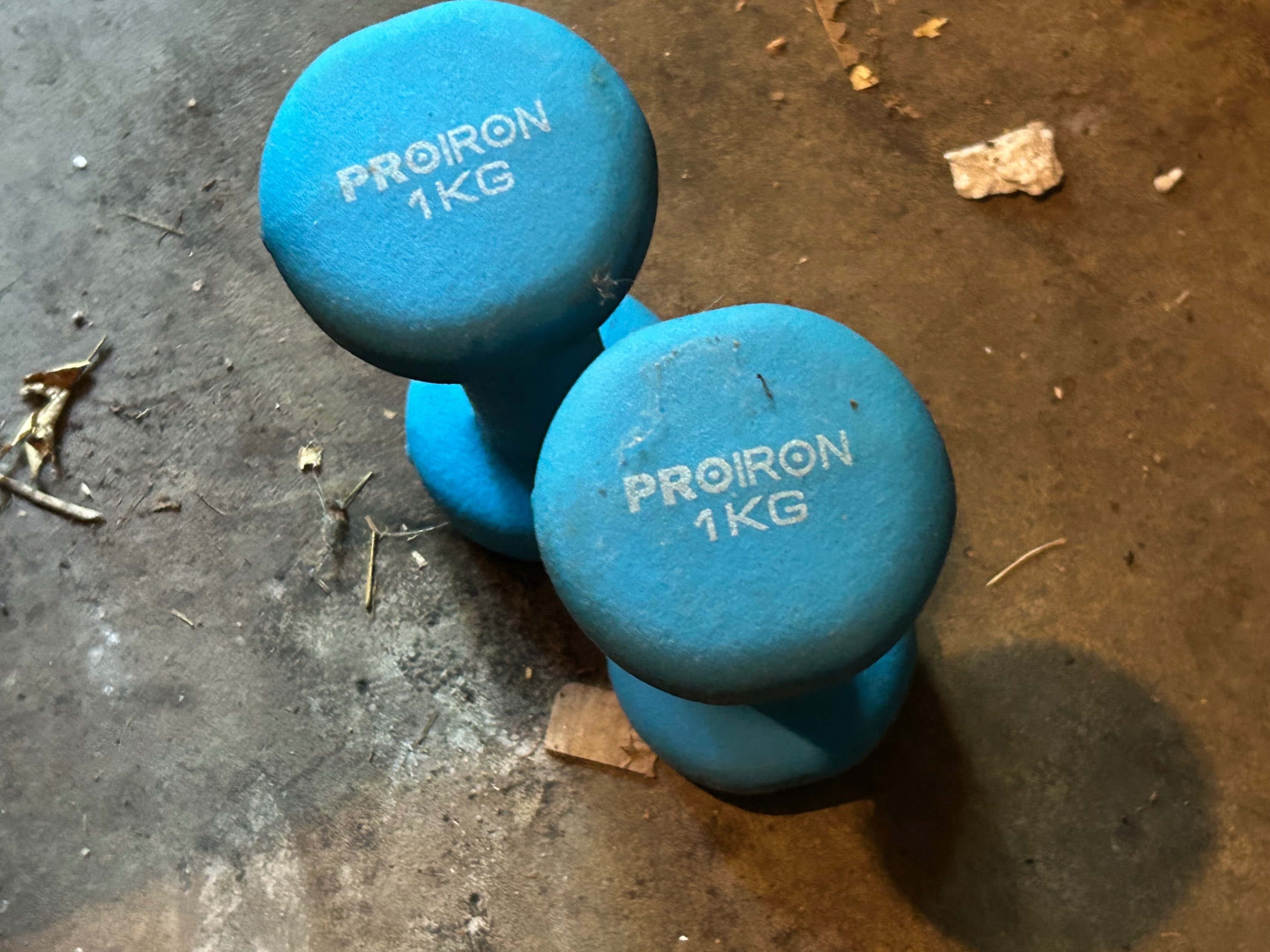 Handweights and Kettle Balls - photo 2