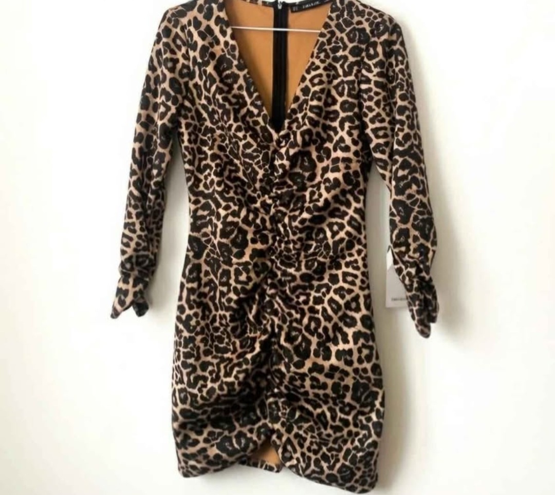 Leopard Print Ruched Dress