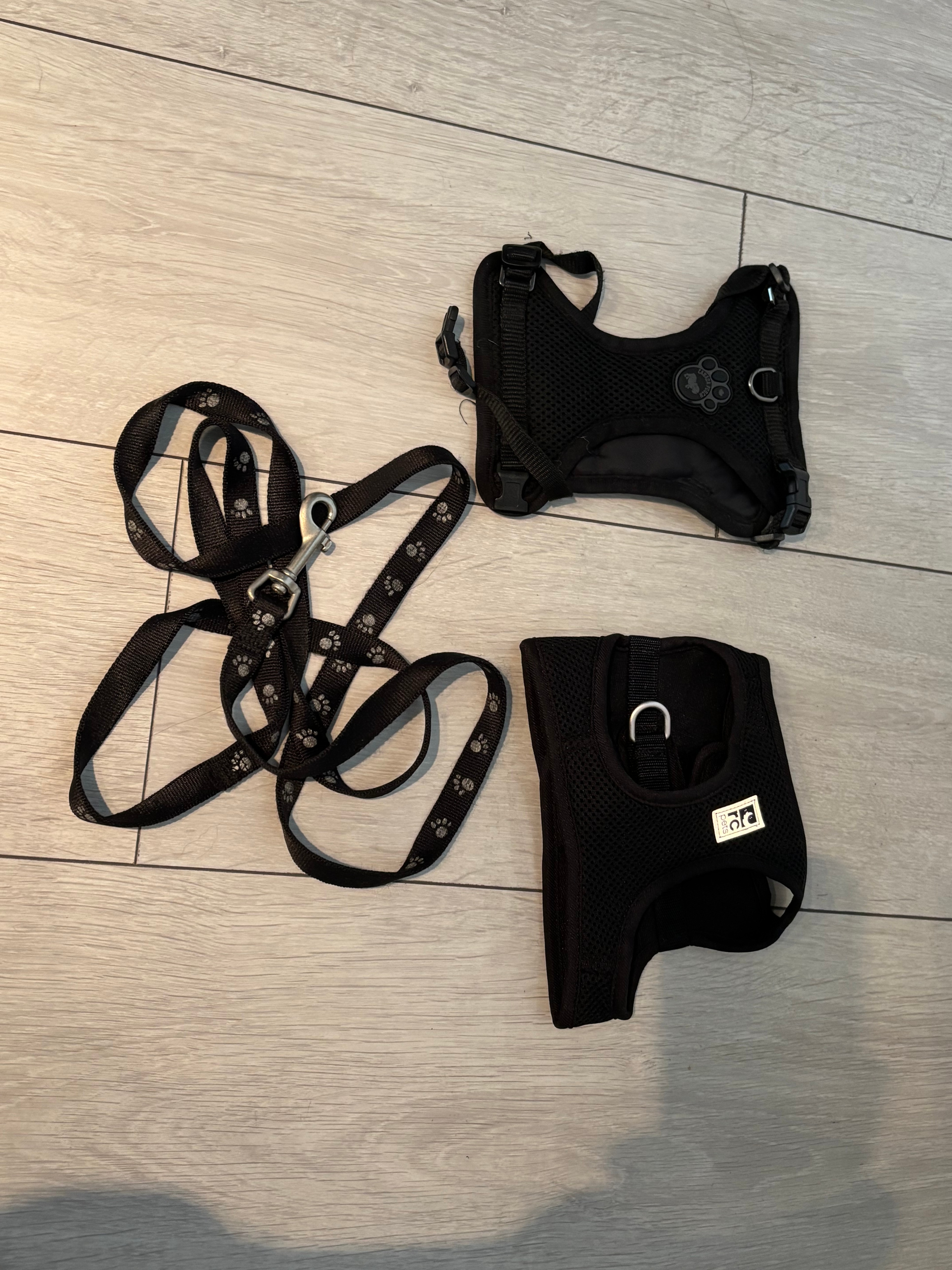 Puppy Harnesses and Leash