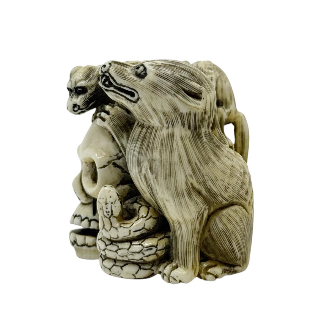 Meiji period Memento Mori bone Skull snake possum netsuke - photo 4