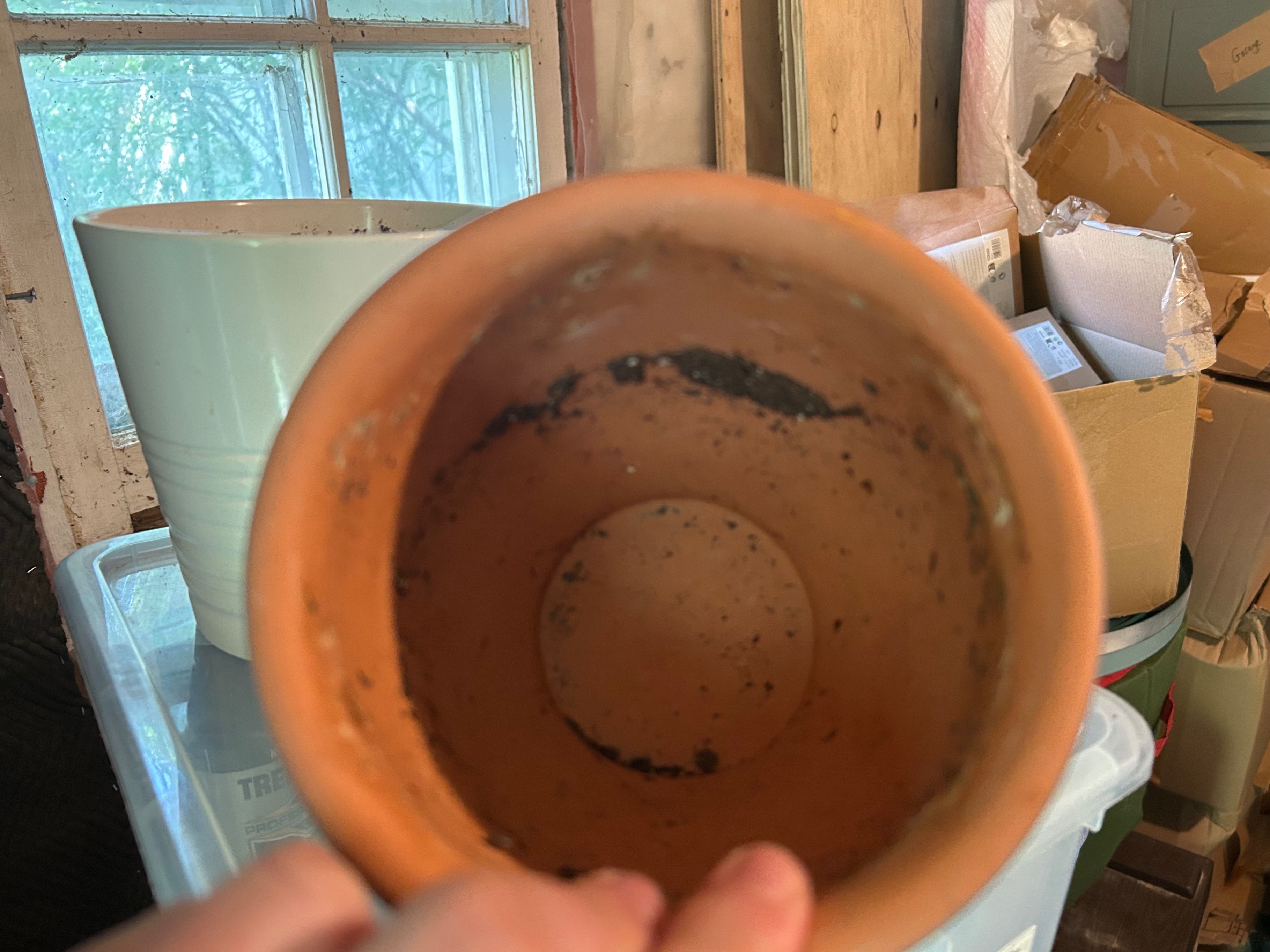 2 IKEA Plant Pots - photo 2