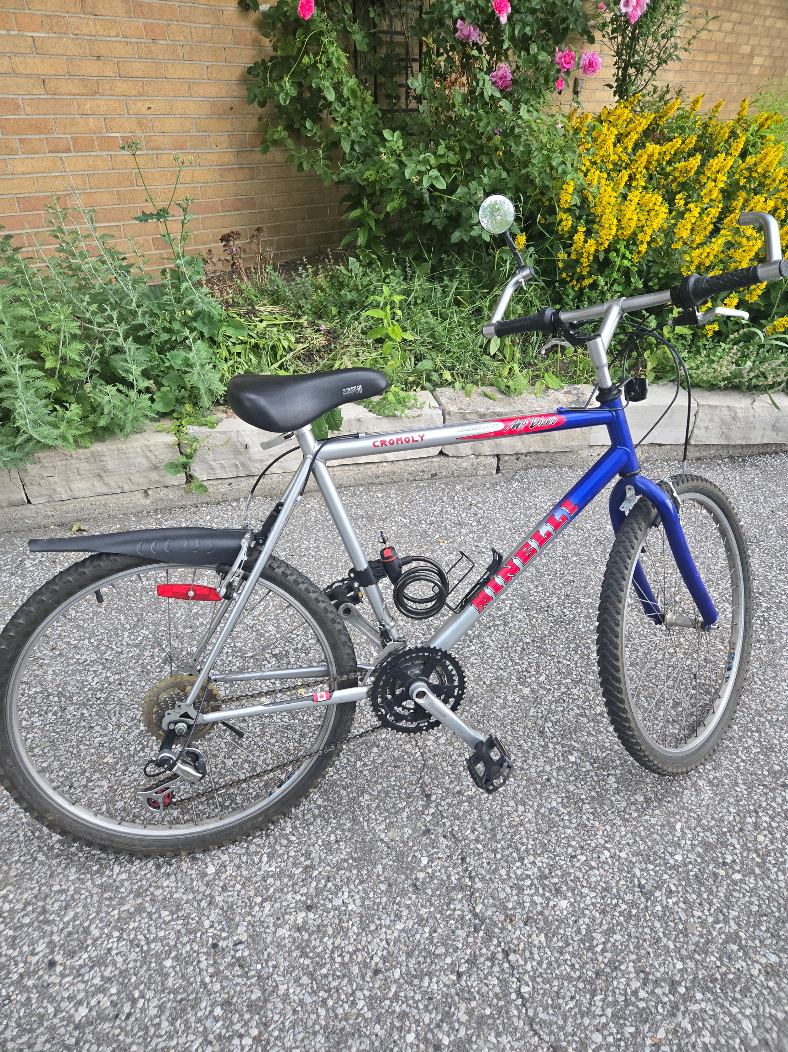 Cromoly bicycle(21 Speed)