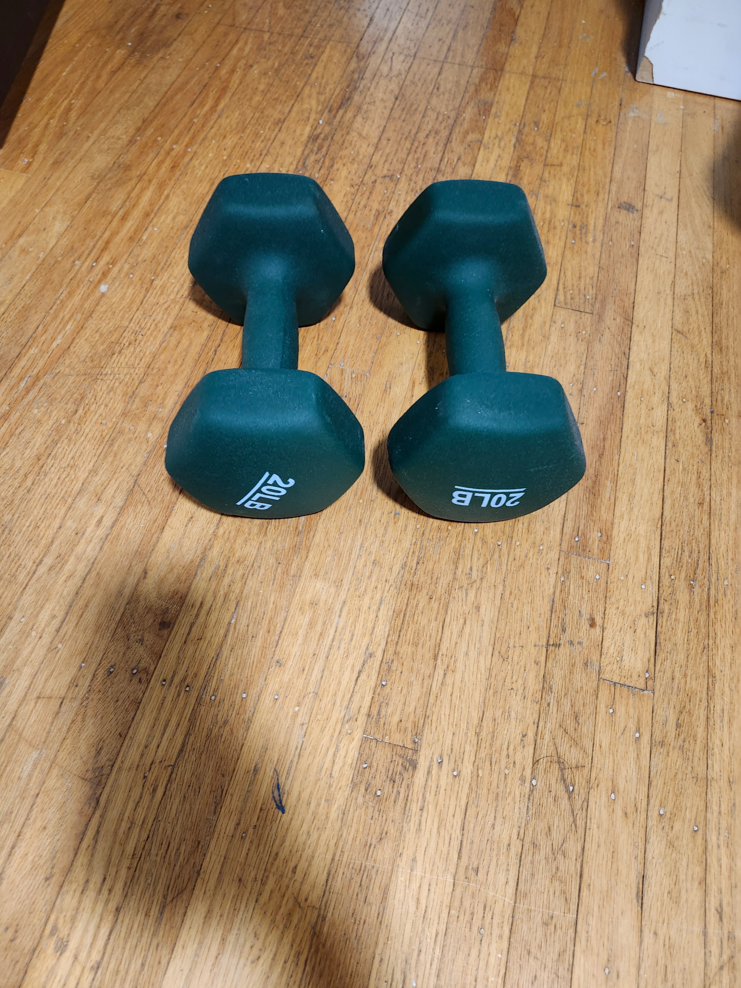 20 lb Dumbbells Pair
