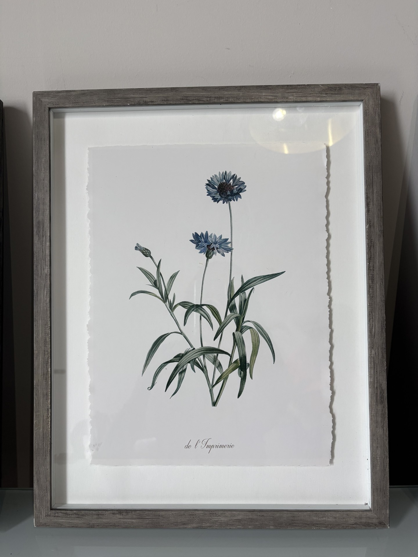 Set of 3 Framed Botanical Floral Prints - Target - photo 5