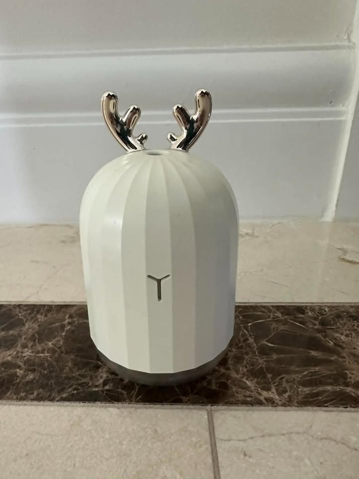 Two Diffusers For Sale - photo 3
