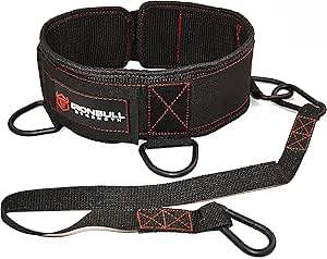 Dip Belt
