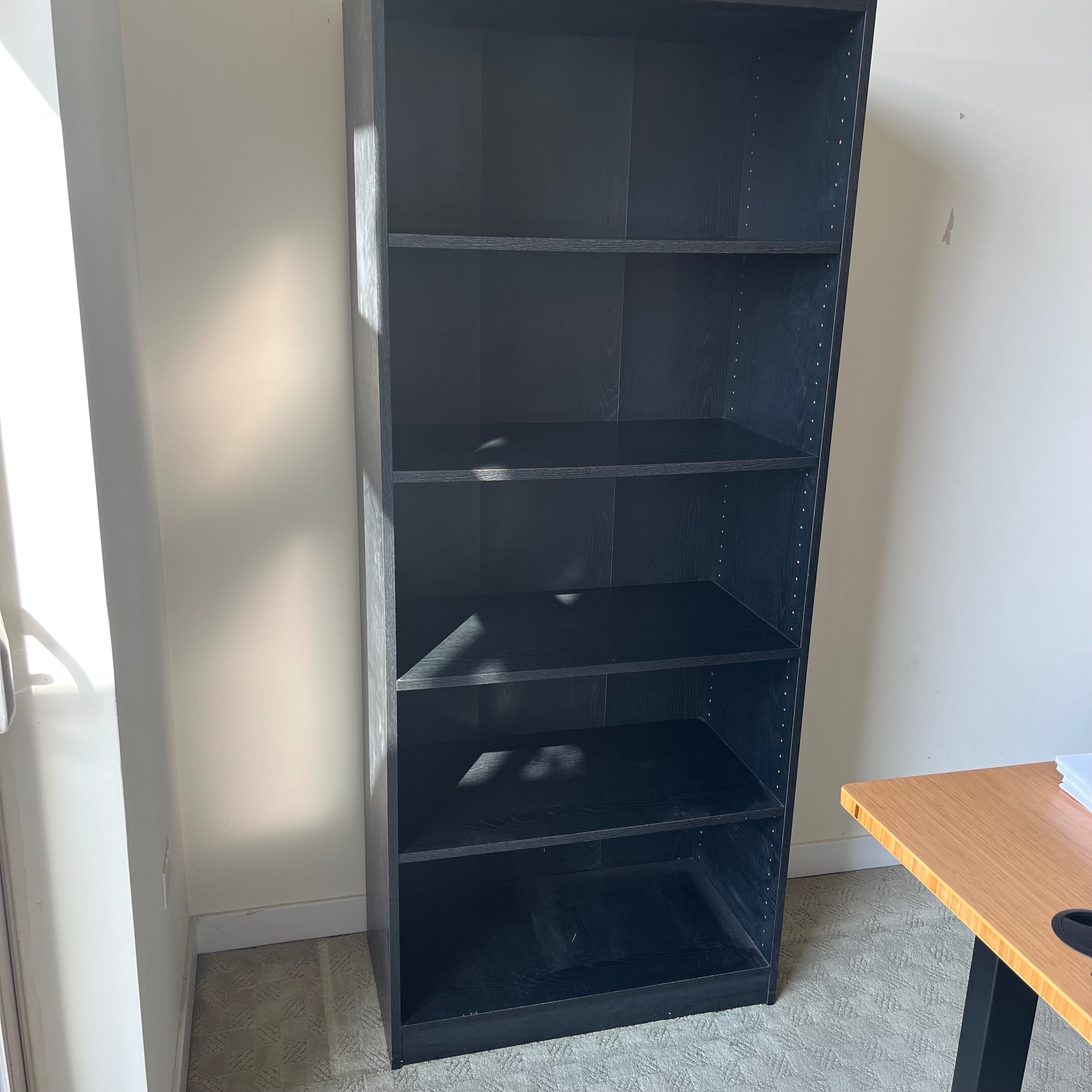 Tall Black Bookcase / Bookshelf