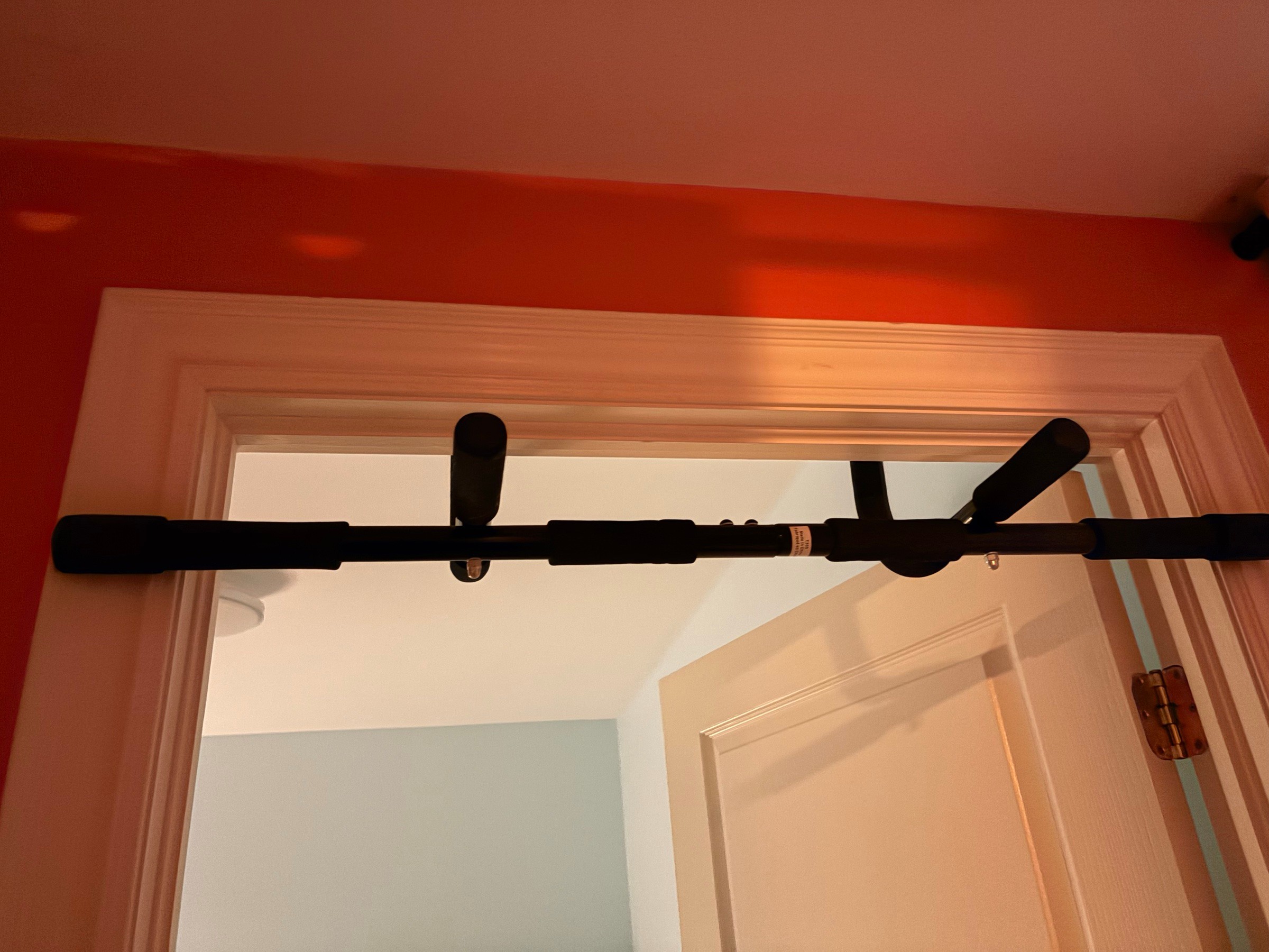 GoodLife Fitness doorway pull-up/chin-up bar