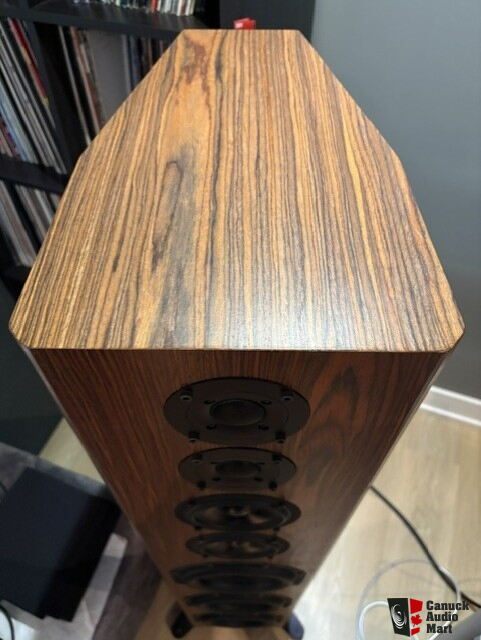 Bryston MODEL T High End Speakers Like New - photo 4