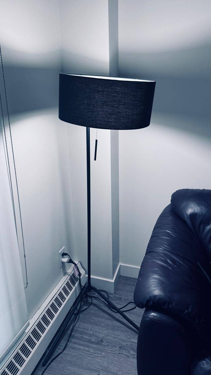 Modern Black Floor Lamp