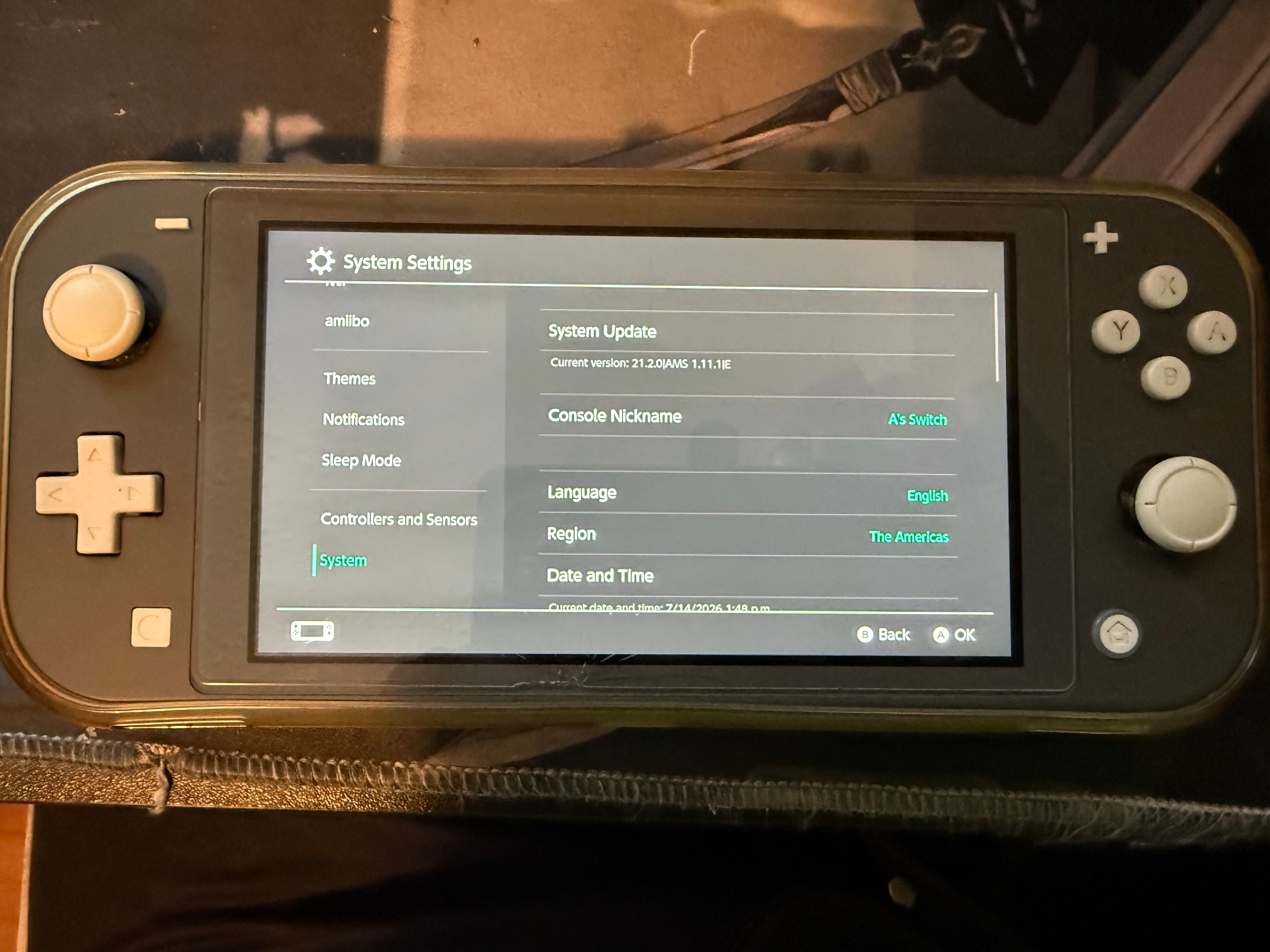 Modded Nintendo Switch Lite