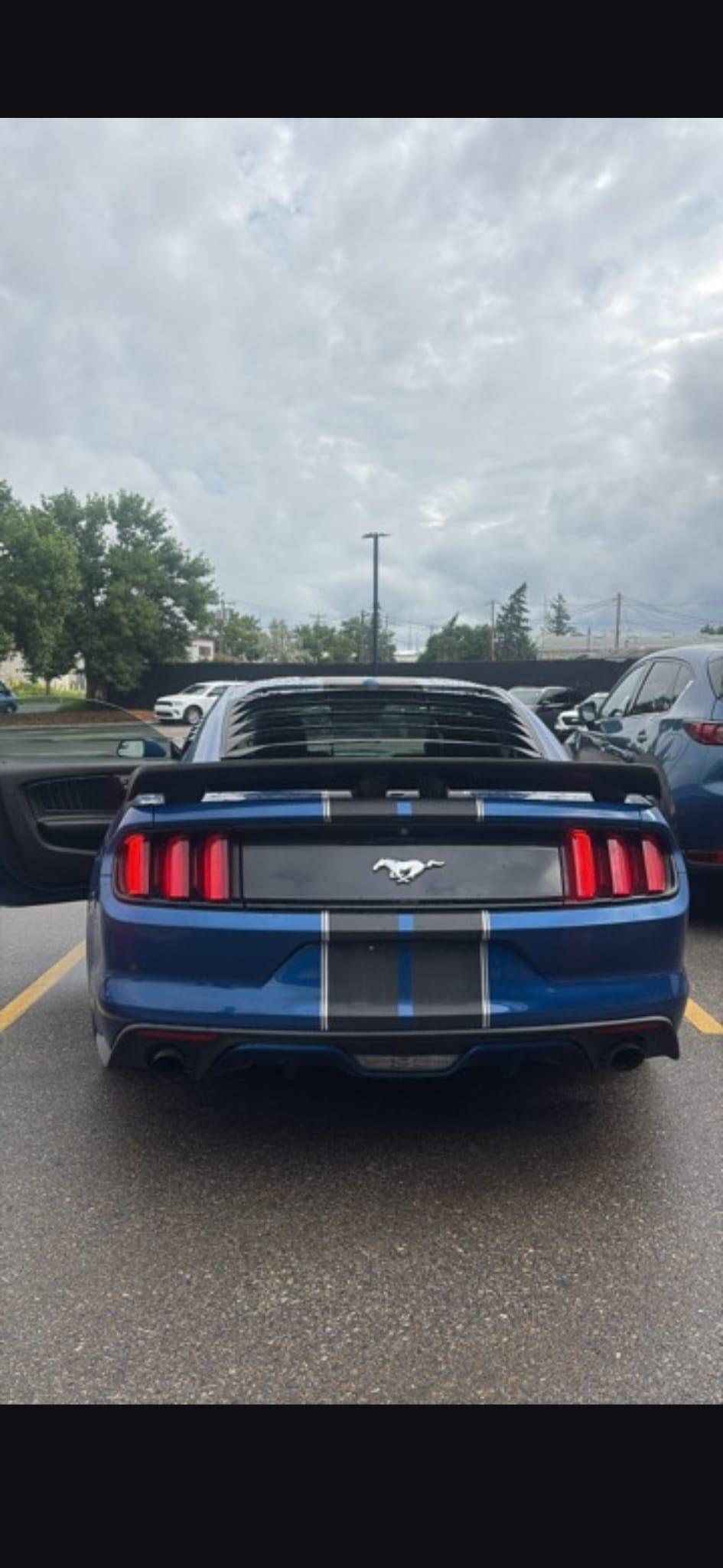 2017 Ford Mustang - photo 2