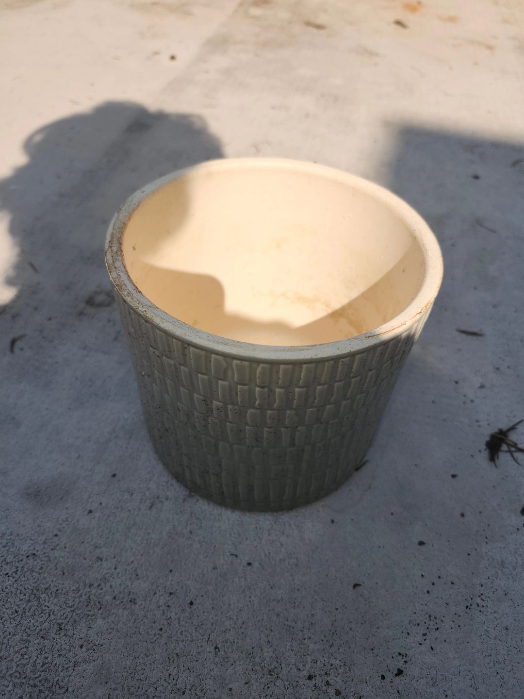 Beginner Vegetable Growing Bundle - Pots, Soil & Fertilizer - photo 3