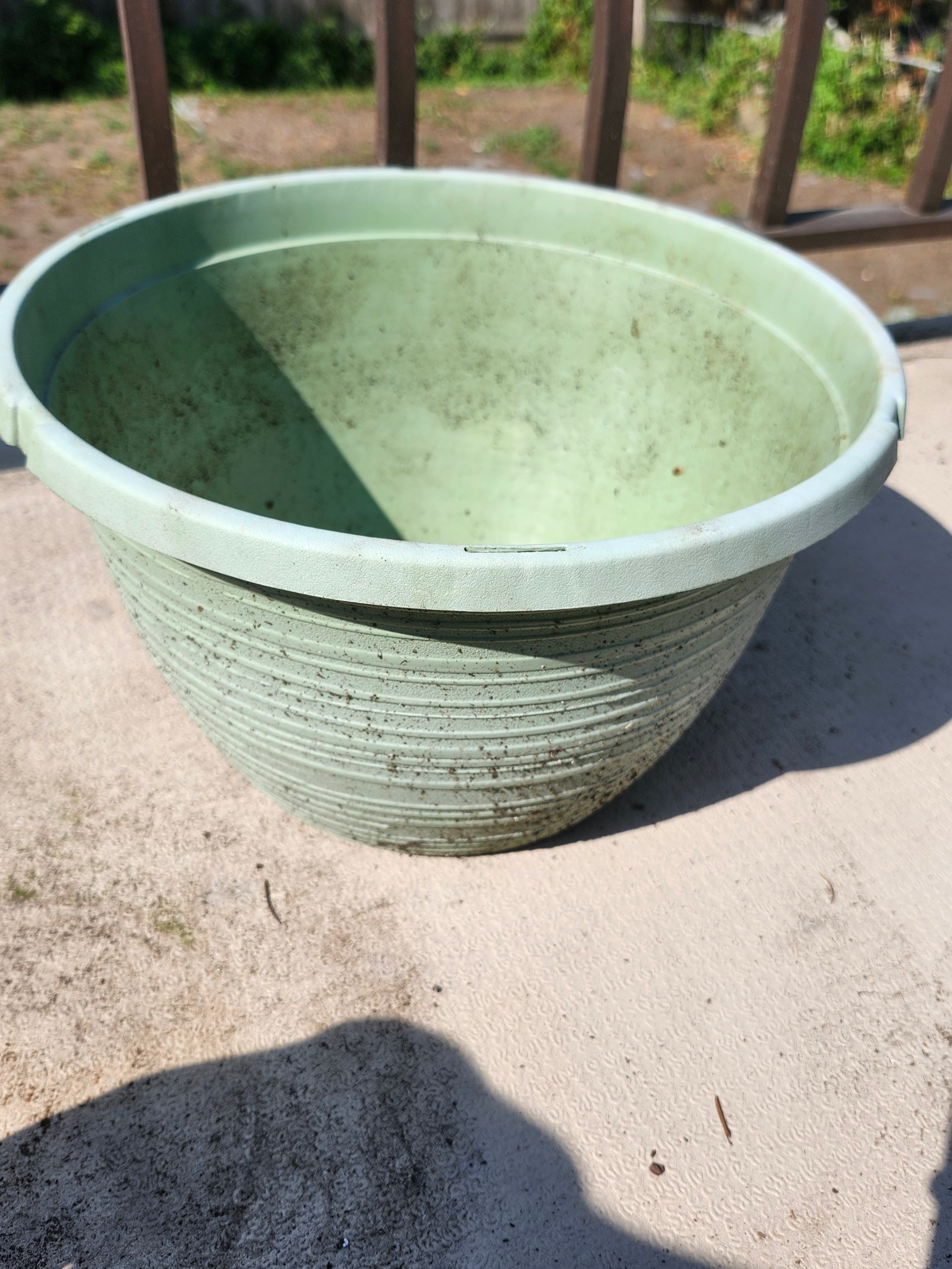 Gardening Bundle - Plants, Pots & More - Moving Sale - photo 3