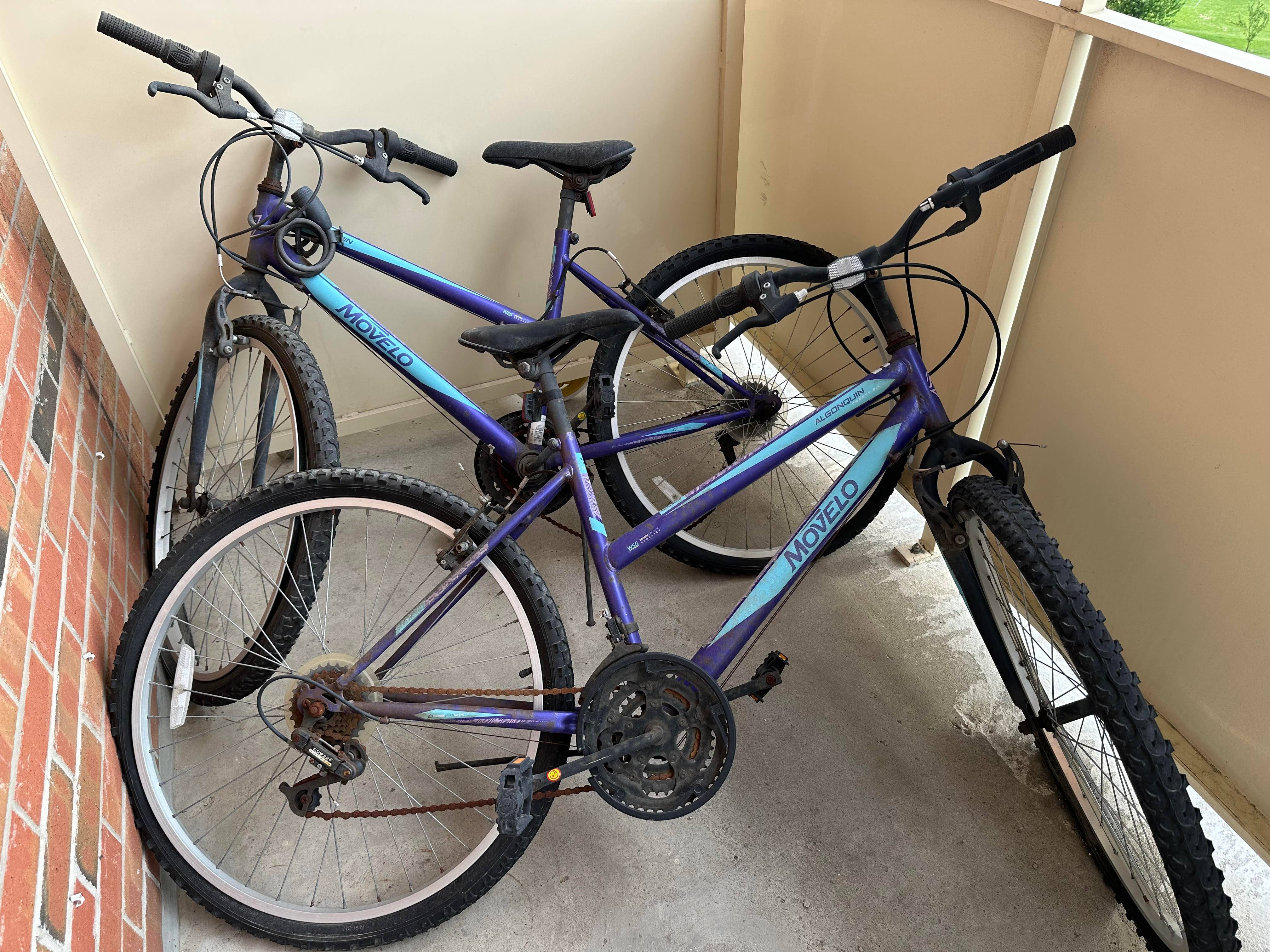 Movelo Algonquin Mountain Bike – Great Project Bike