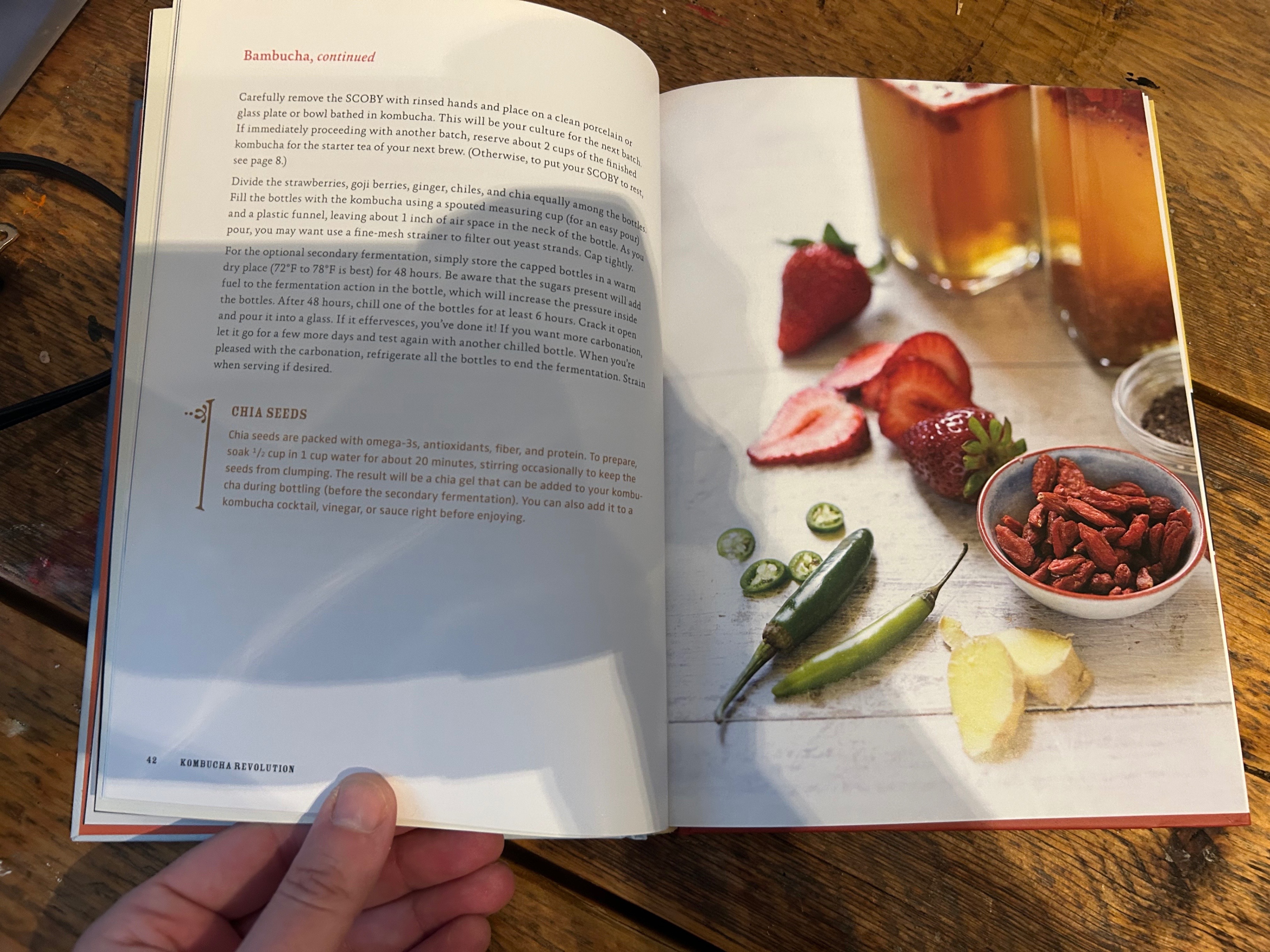 Kombucha Revolution Cookbook - photo 4