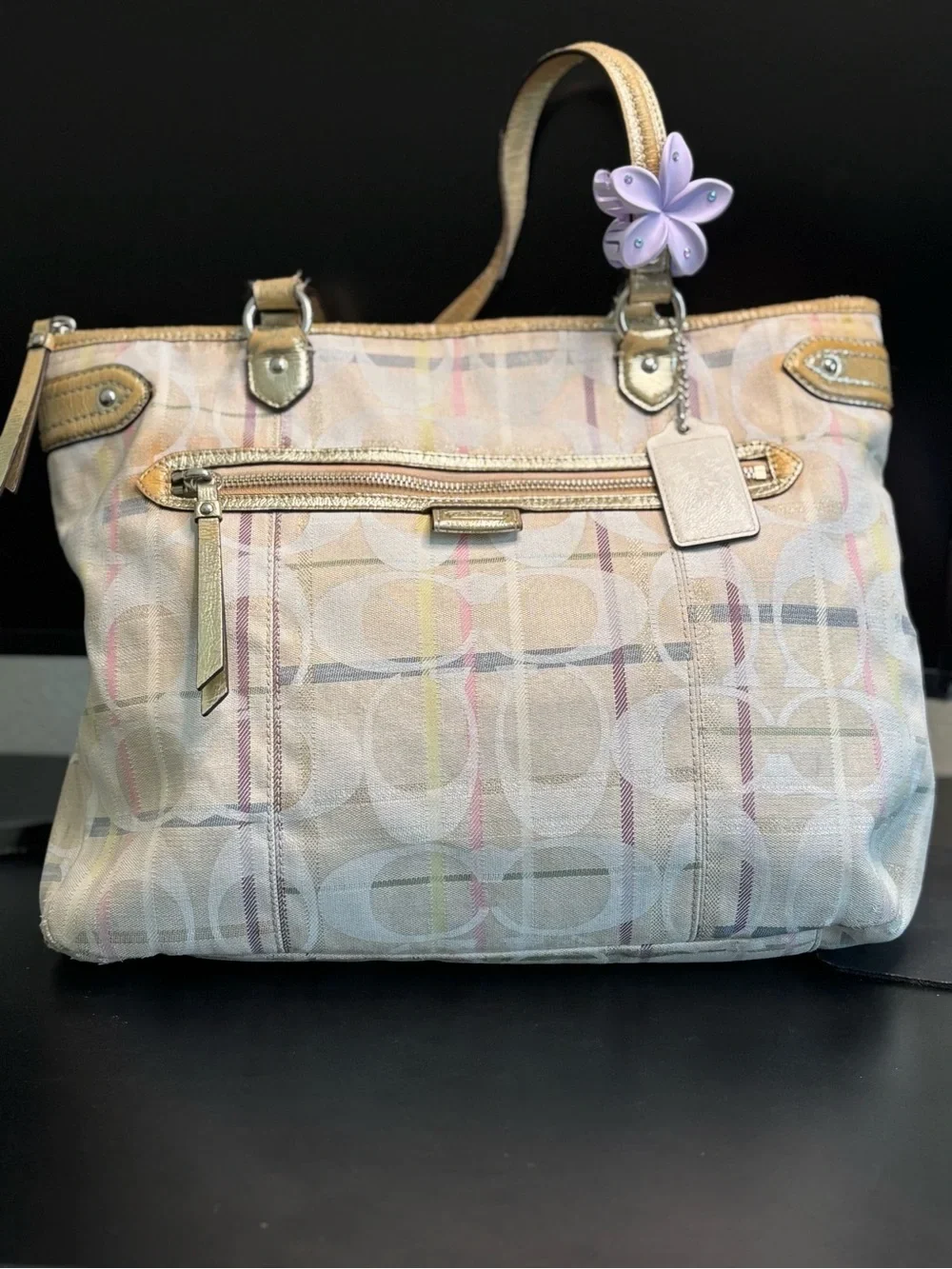 COACH POPPY BAG