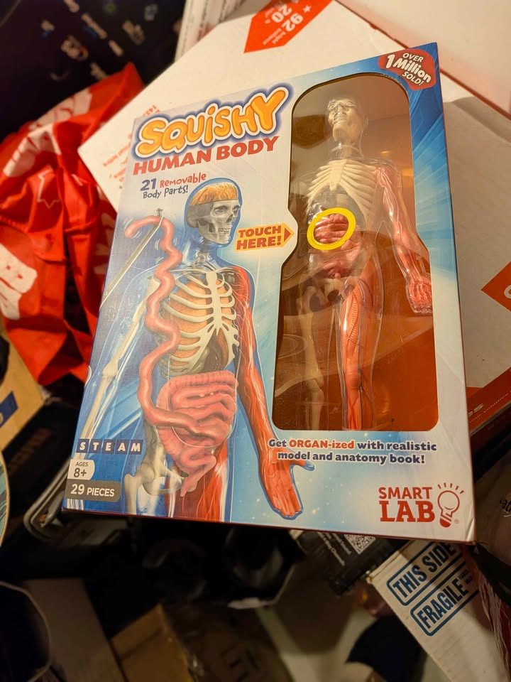 SmartLab Toys Squishy Human Body Science Kit