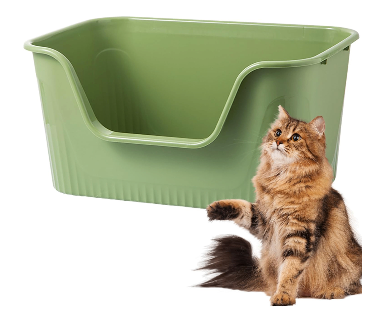 New Cat Litter Box