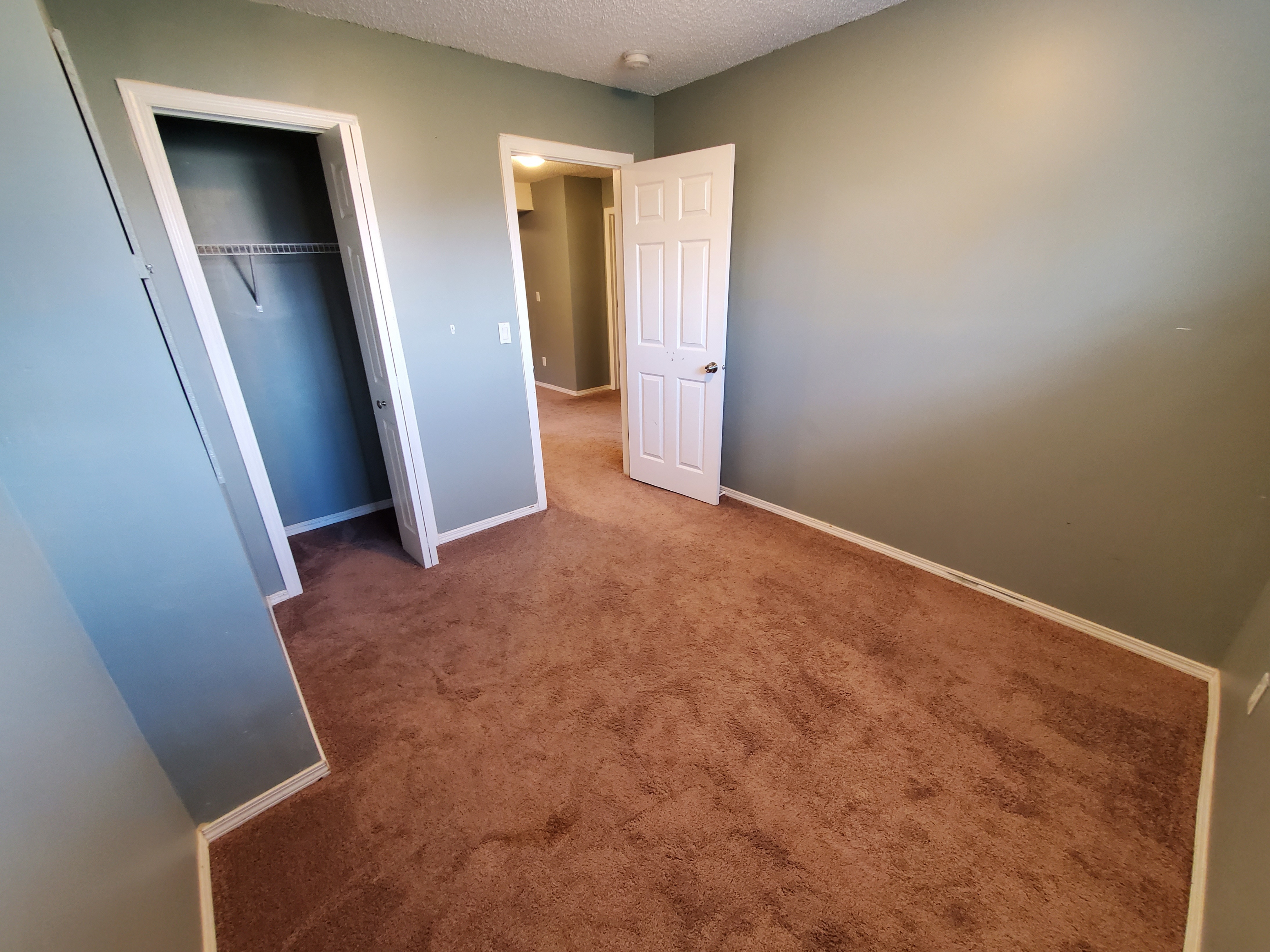 Spacious 3-Bedroom Basement for Rent - photo 5