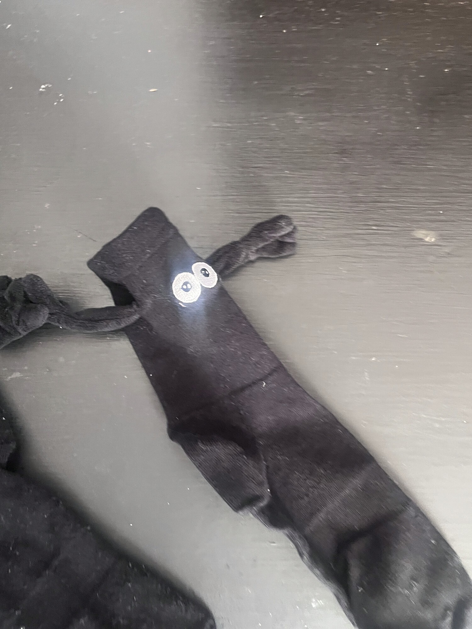 Susuwatari Soot Sprite Magnetic Socks/Leg Warmers x2 pairs - photo 2