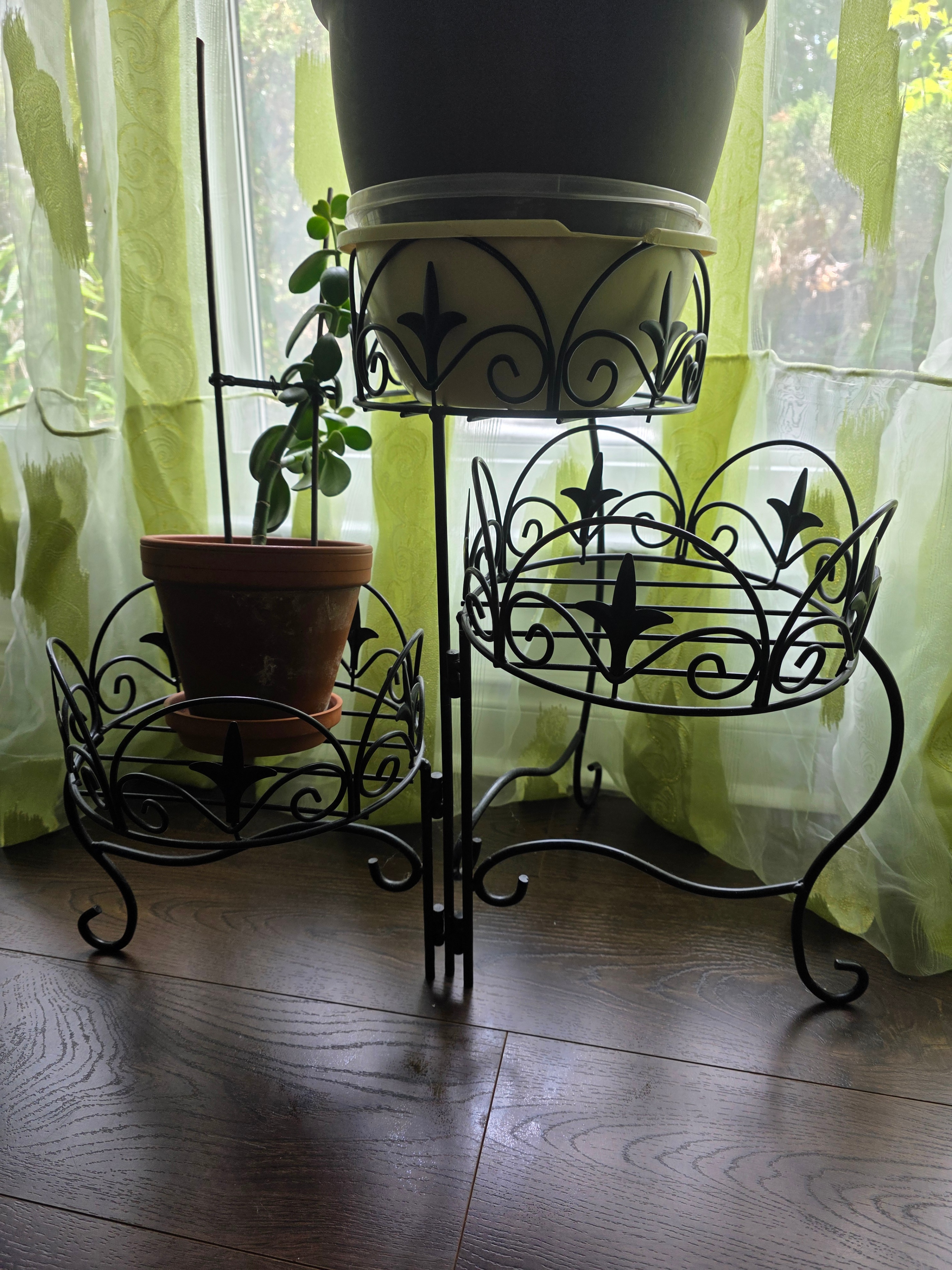 Money Tree Plant + Metal Plant Stand - photo 2