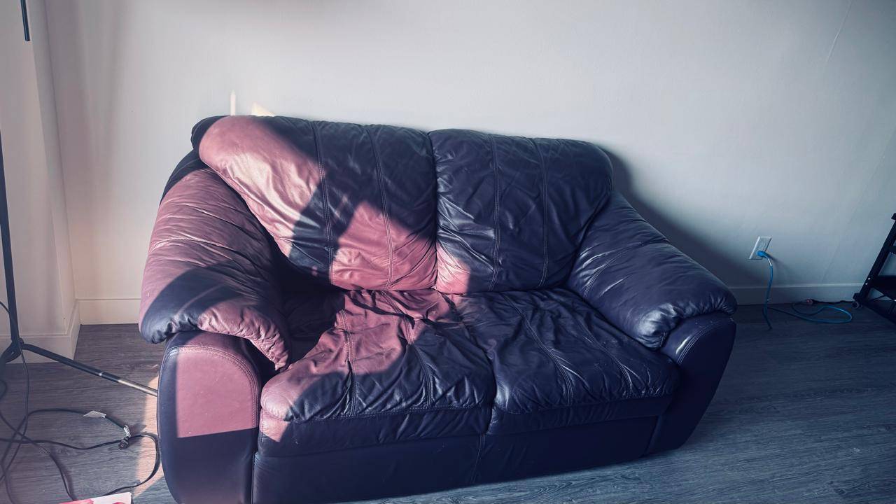 2-seats Dark Purple Leather