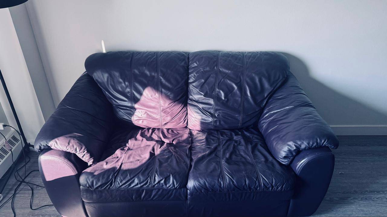 2-seats Dark Purple Leather - photo 4