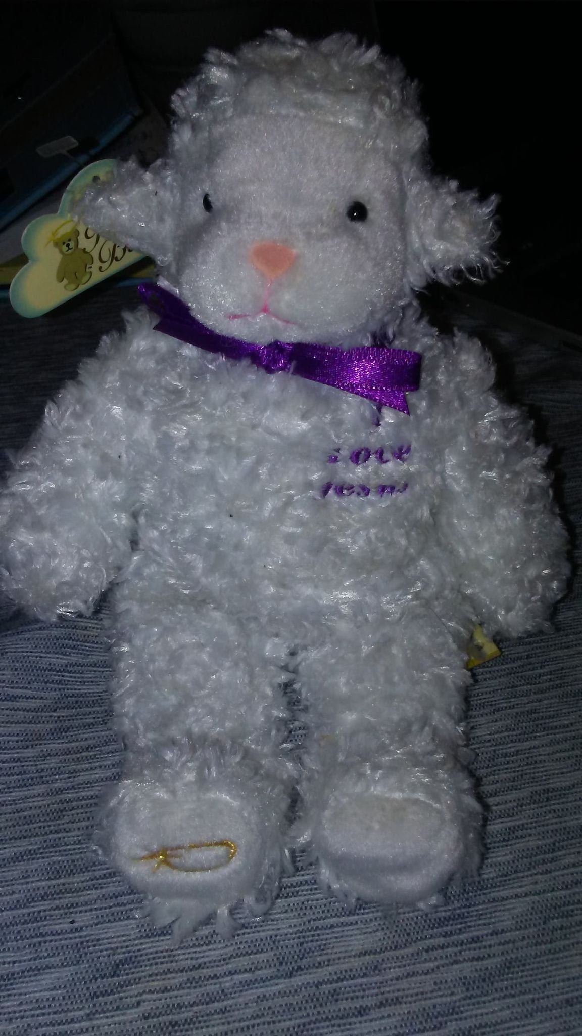 The Original Holy Bears (New) - 8 Inches