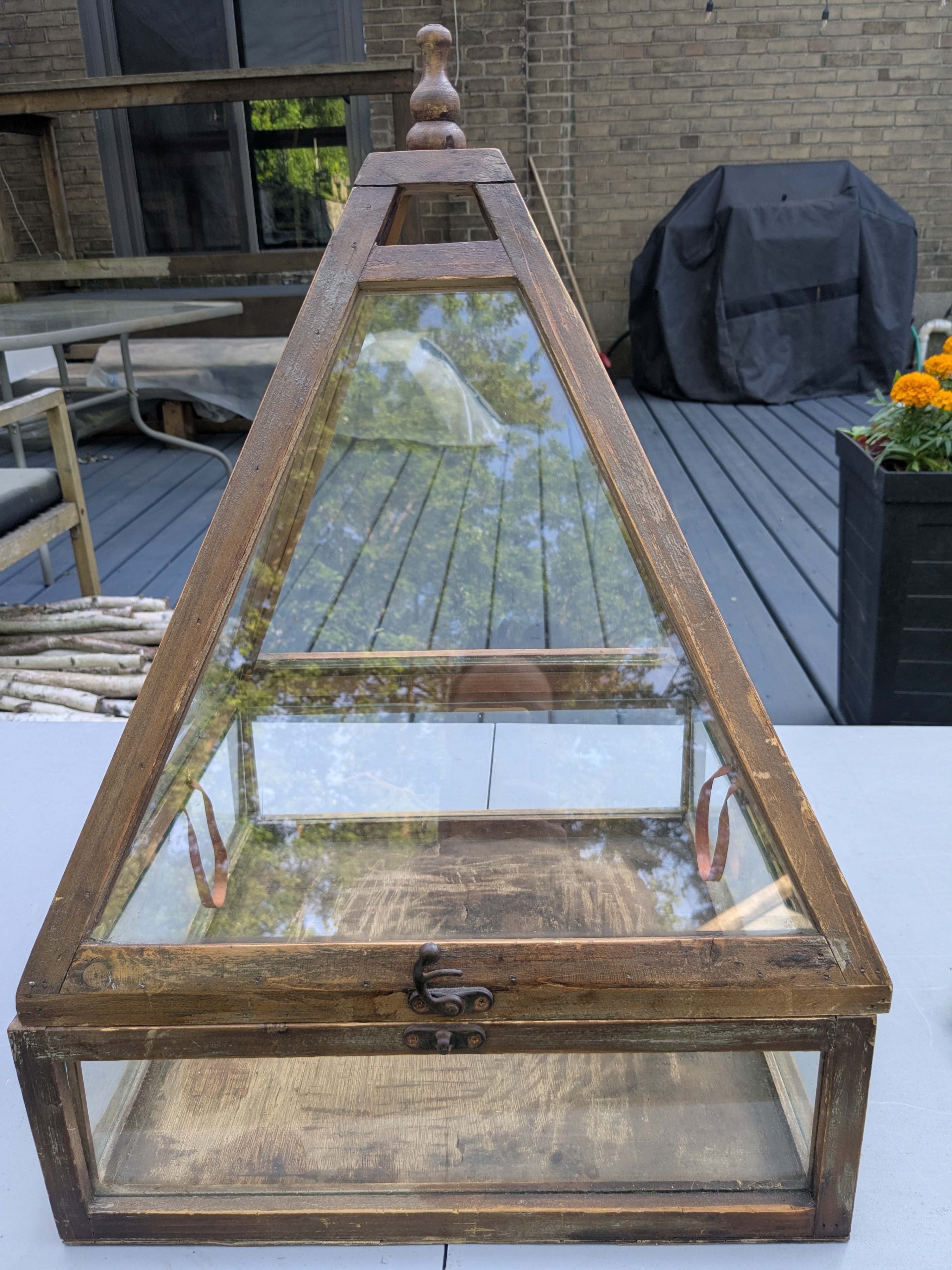 Vintage Wood Display Case / Terrarium - photo 2