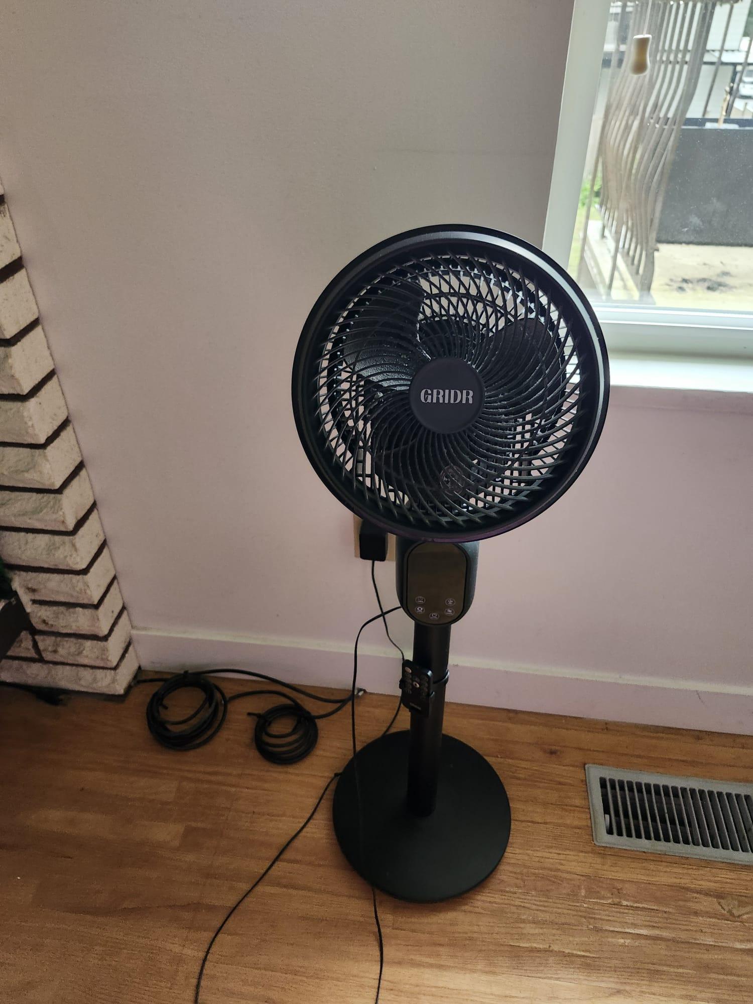 Black Pedestal Fan - Moving Sale - photo 5