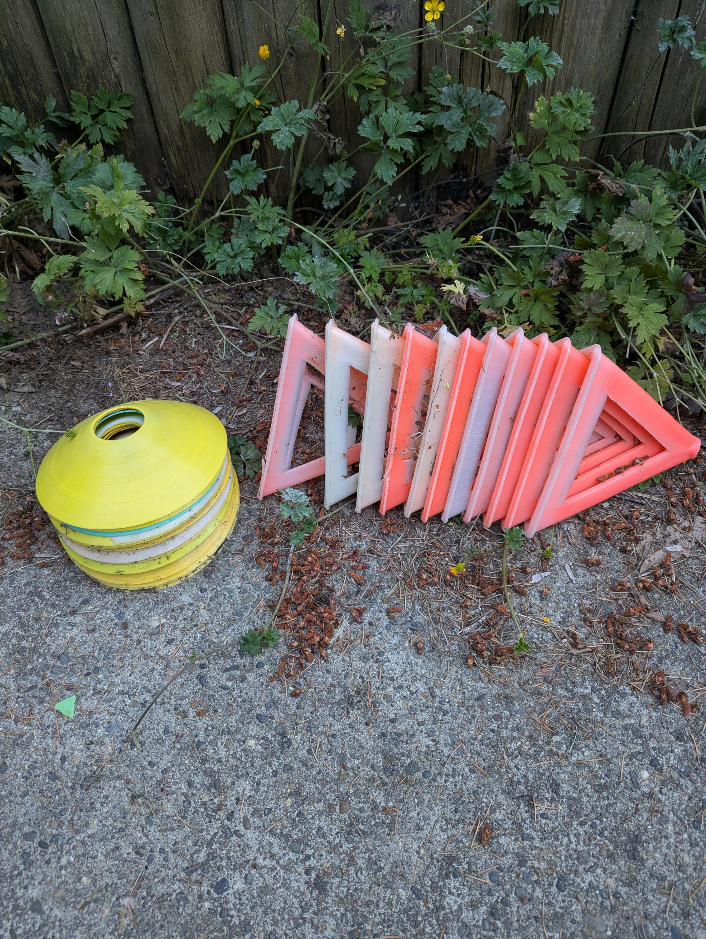 Practice Cones & Triangles ( Free)