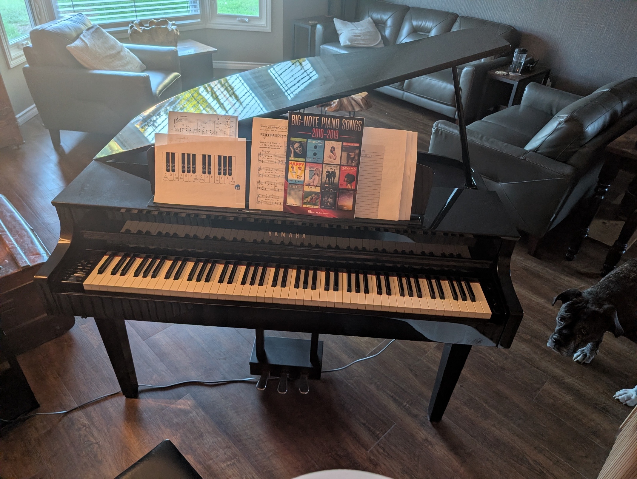 Yamaha Digital Baby Grand Piano - photo 4