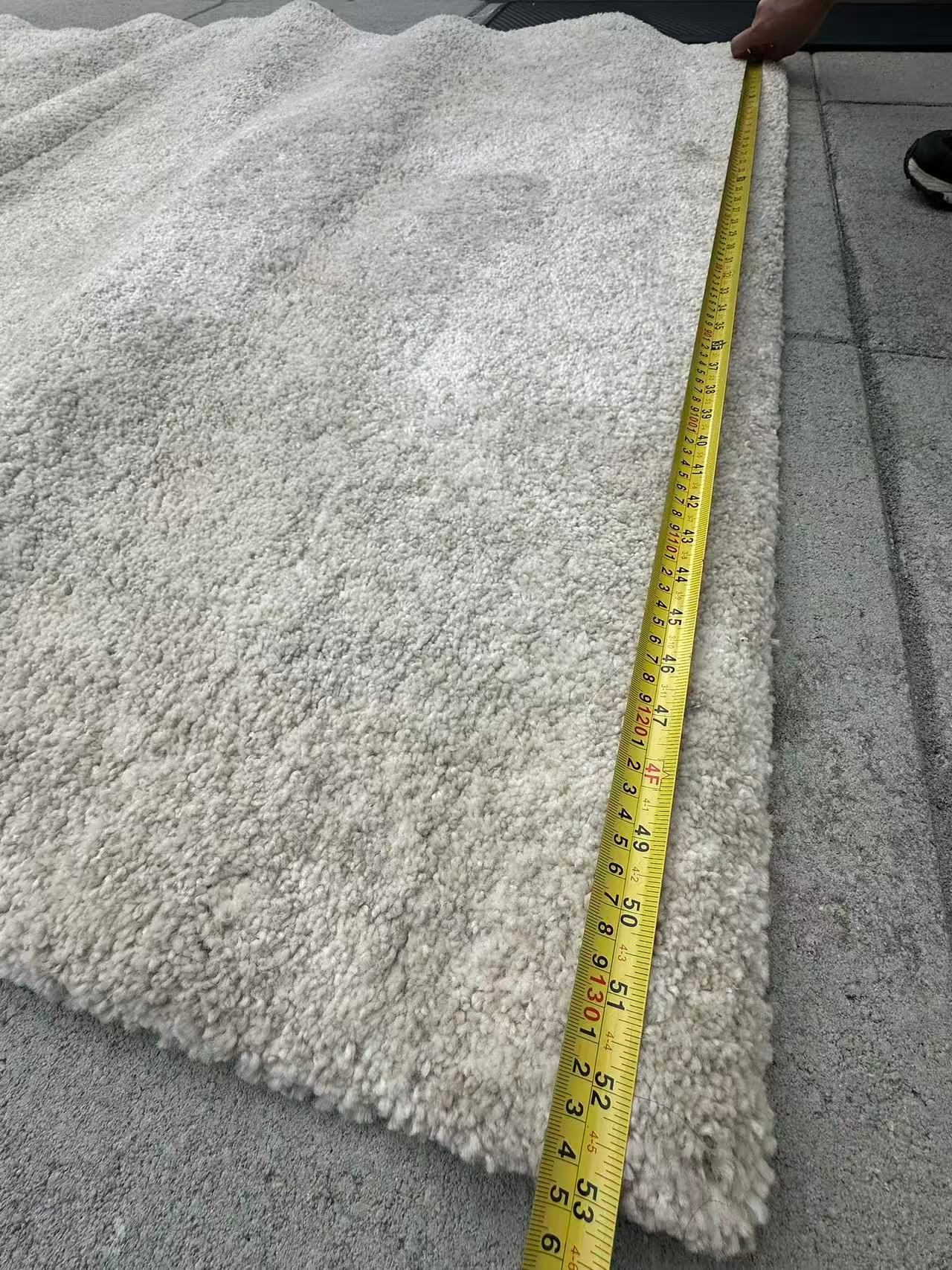 Like New Light Beige Carpet - photo 5