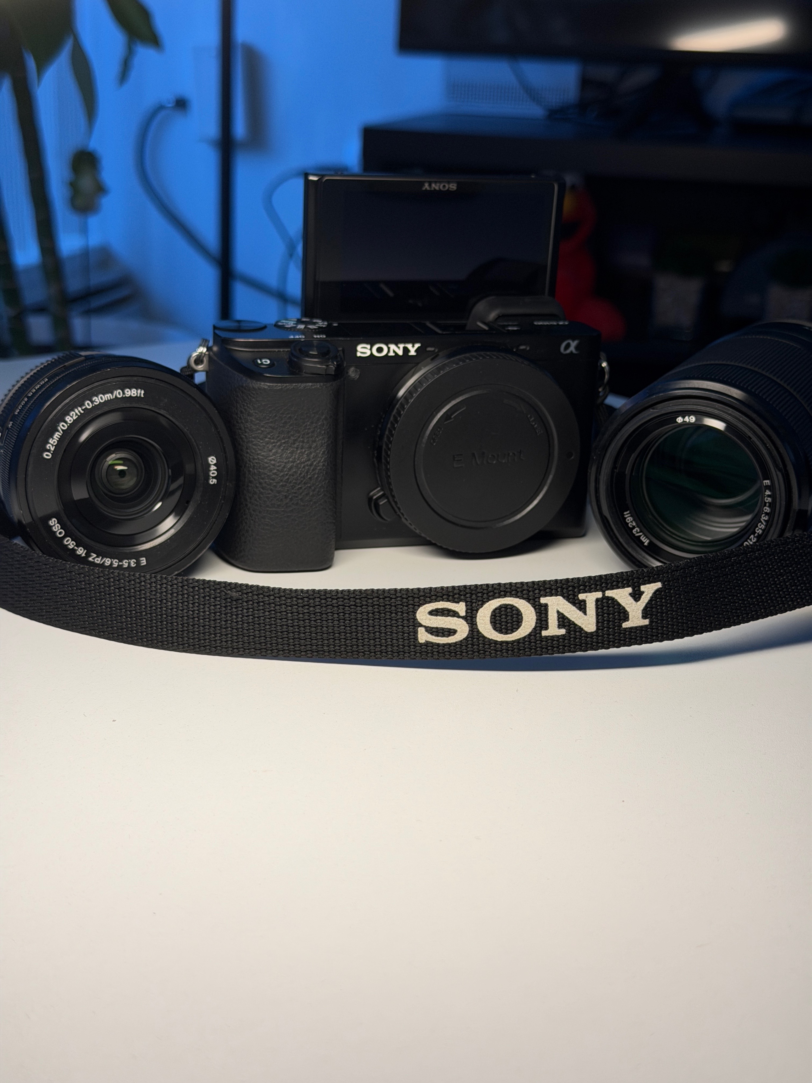 Sony A6100 Full Photography & Video Kit