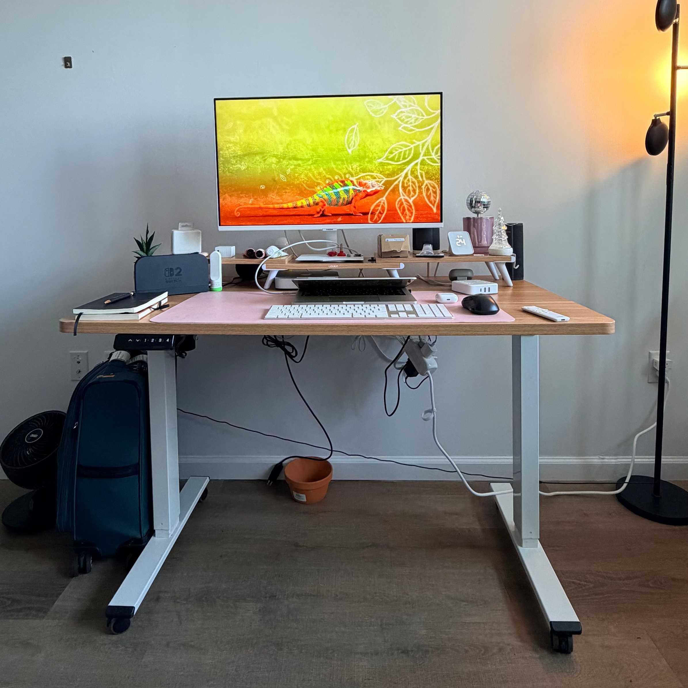 Electric Standing Desk 48x30 Maple Top, White Frame