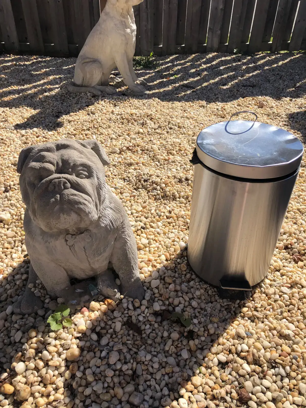 Concrete bulldog statue
