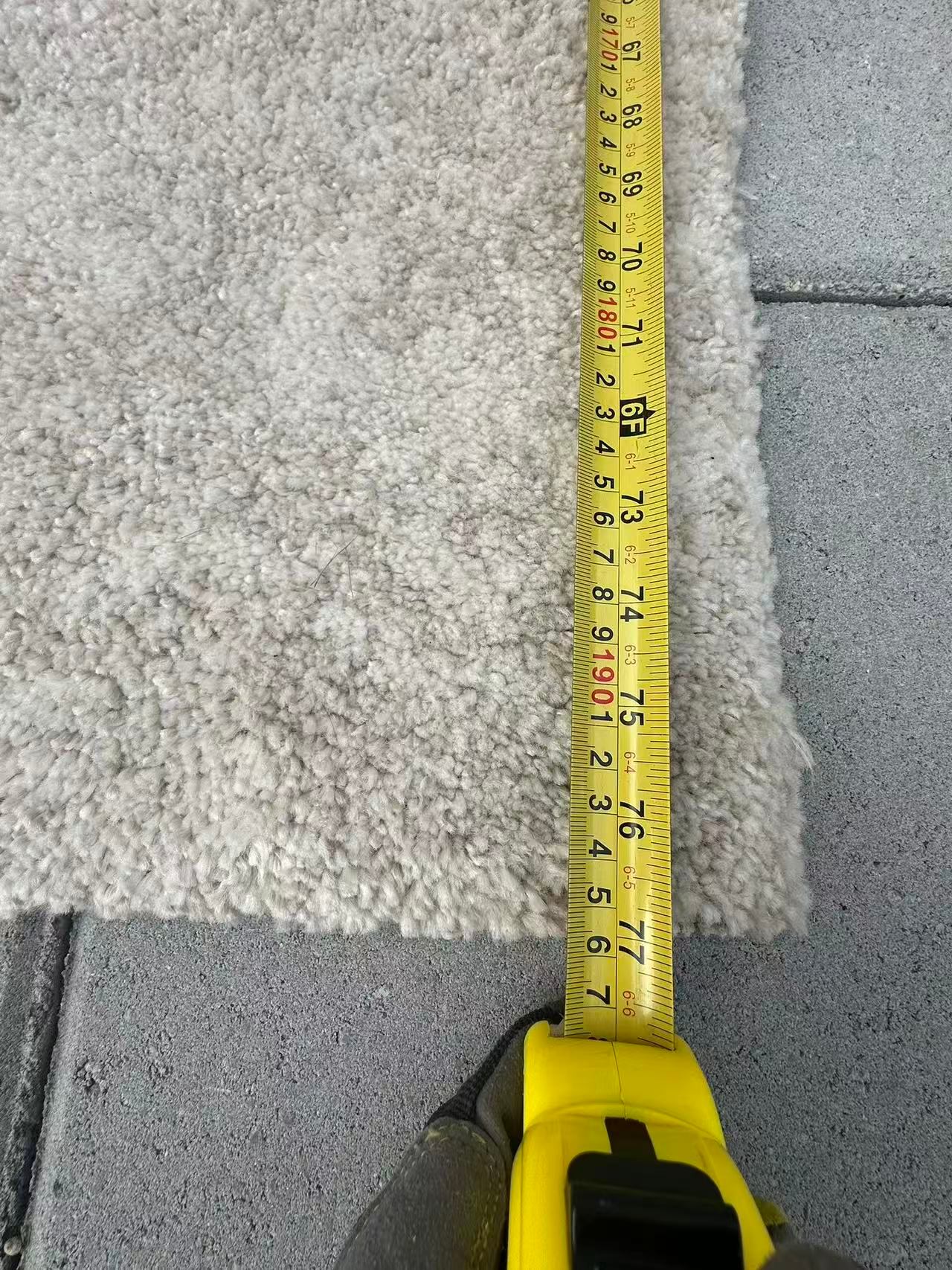 Like New Light Beige Carpet - photo 4