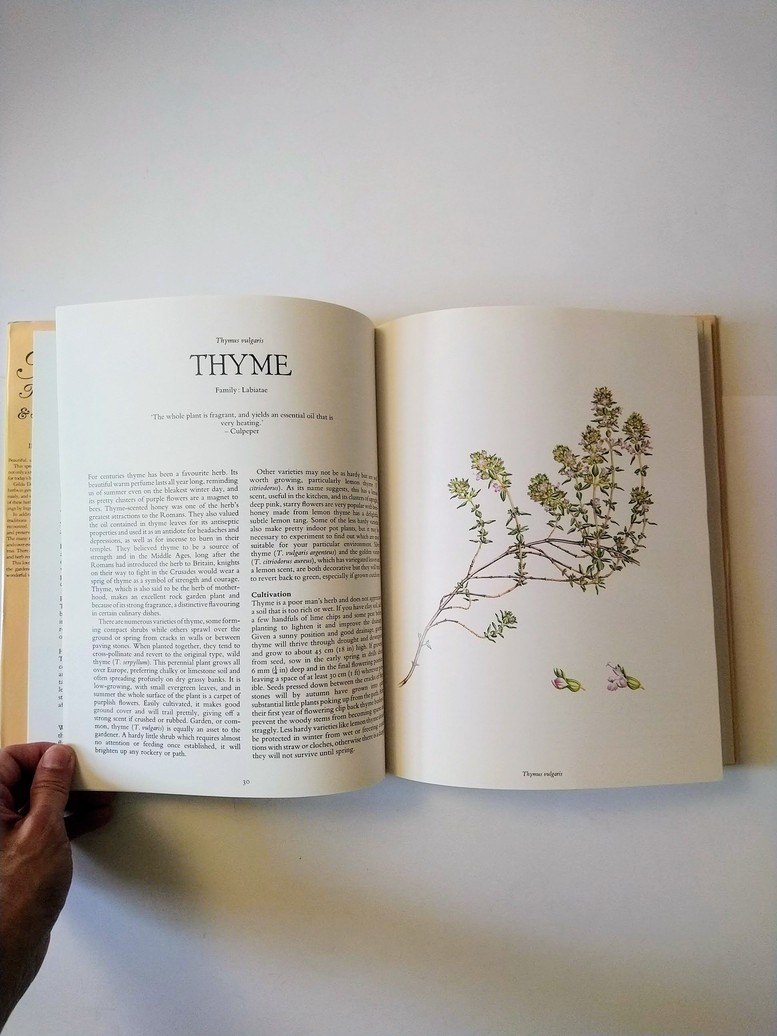 Herbs: International & Illustrated! - photo 3