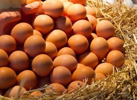 Organic Brown eggs.