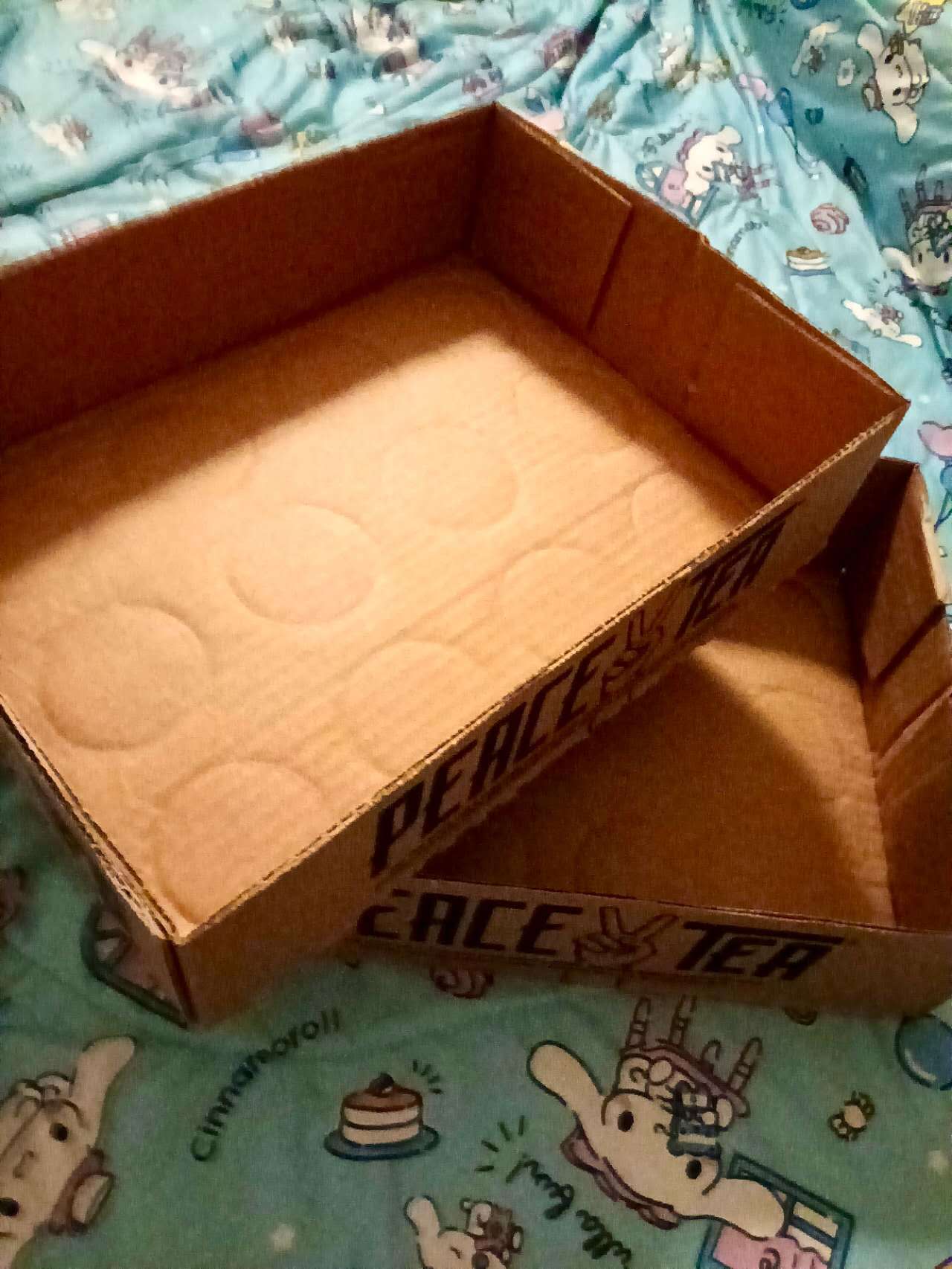 Peace Tea Cardboard Boxes - photo 2