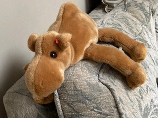 Humphrey Camel Beannie Buddy - photo 2