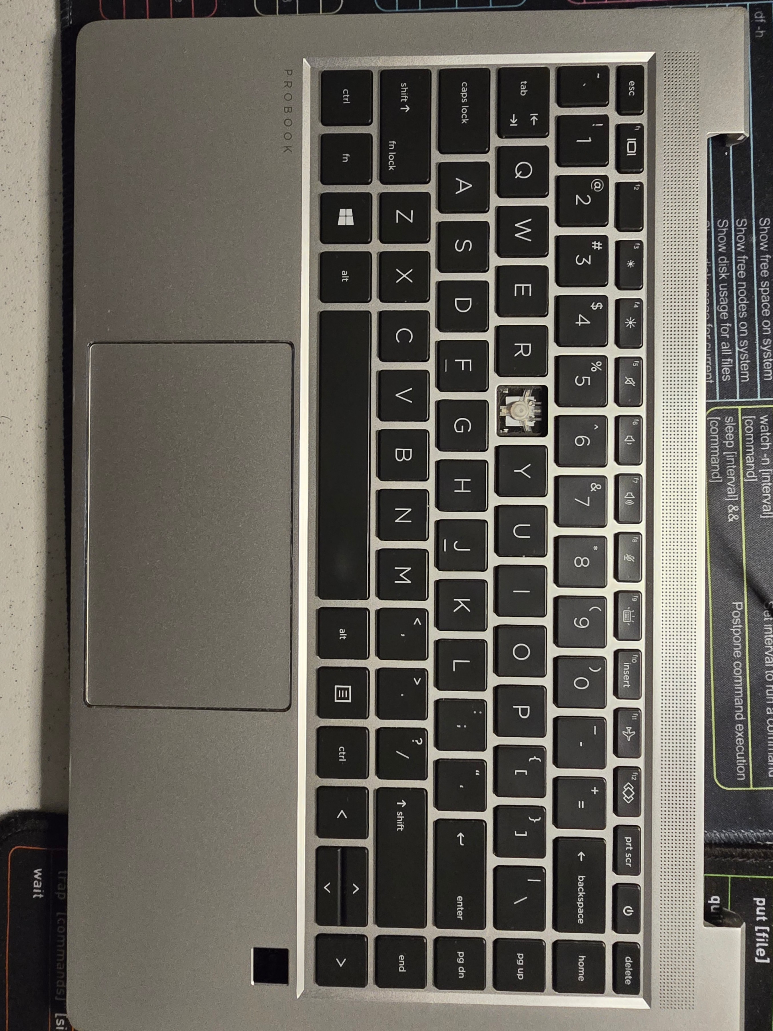 HP ProBook Laptop Palmrest Assembly