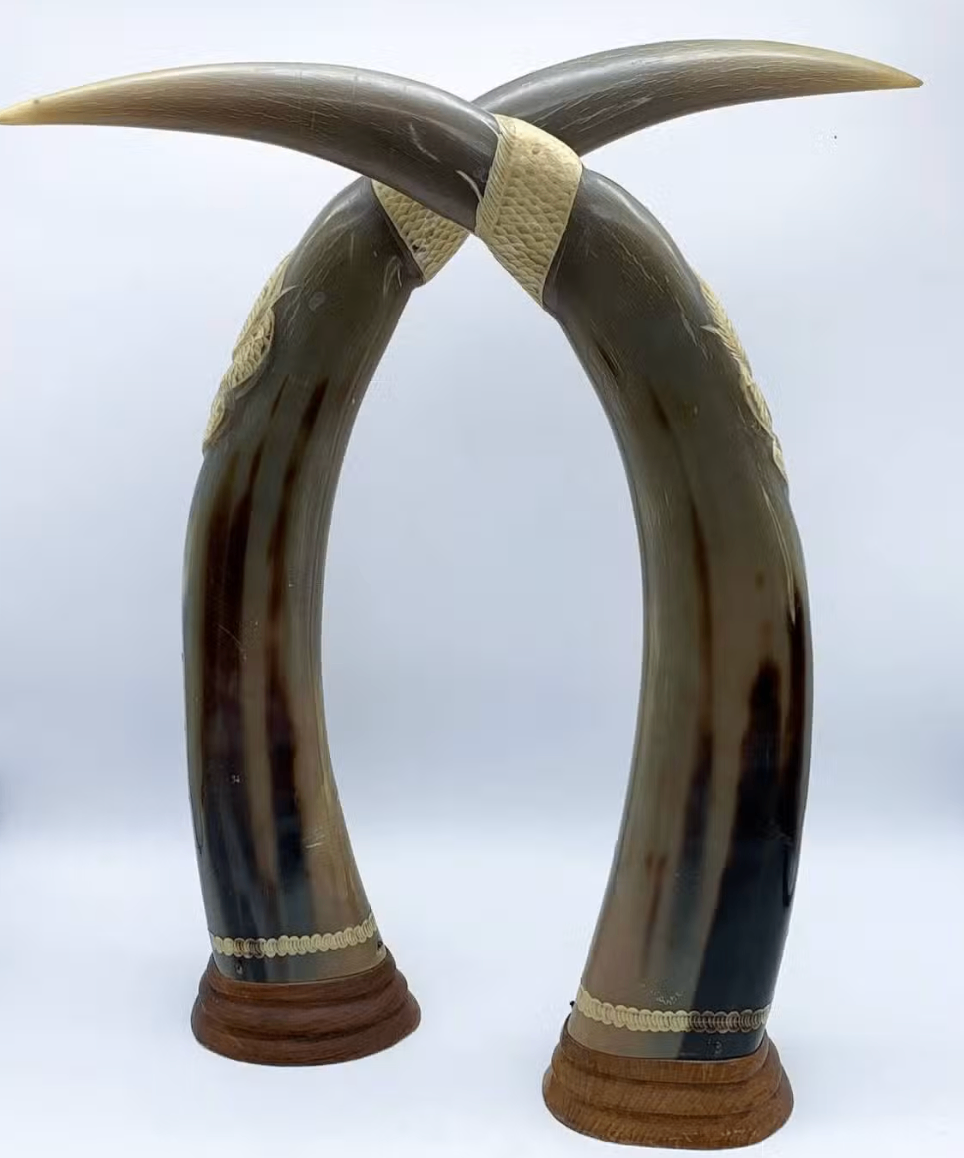 Pair of Vintage Hand-Carved Dragon & Phoenix Water Buffalo Horns - photo 3