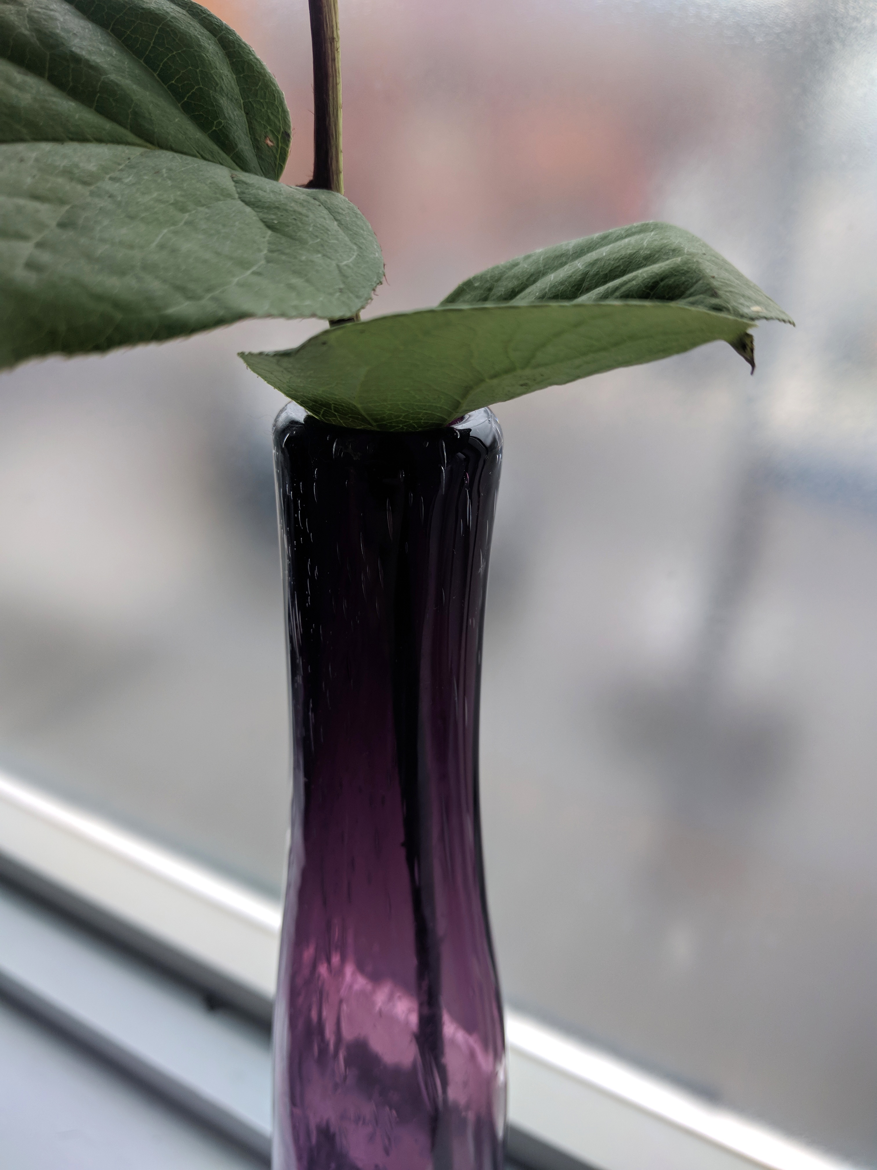 Handmade Glass Vase - photo 3