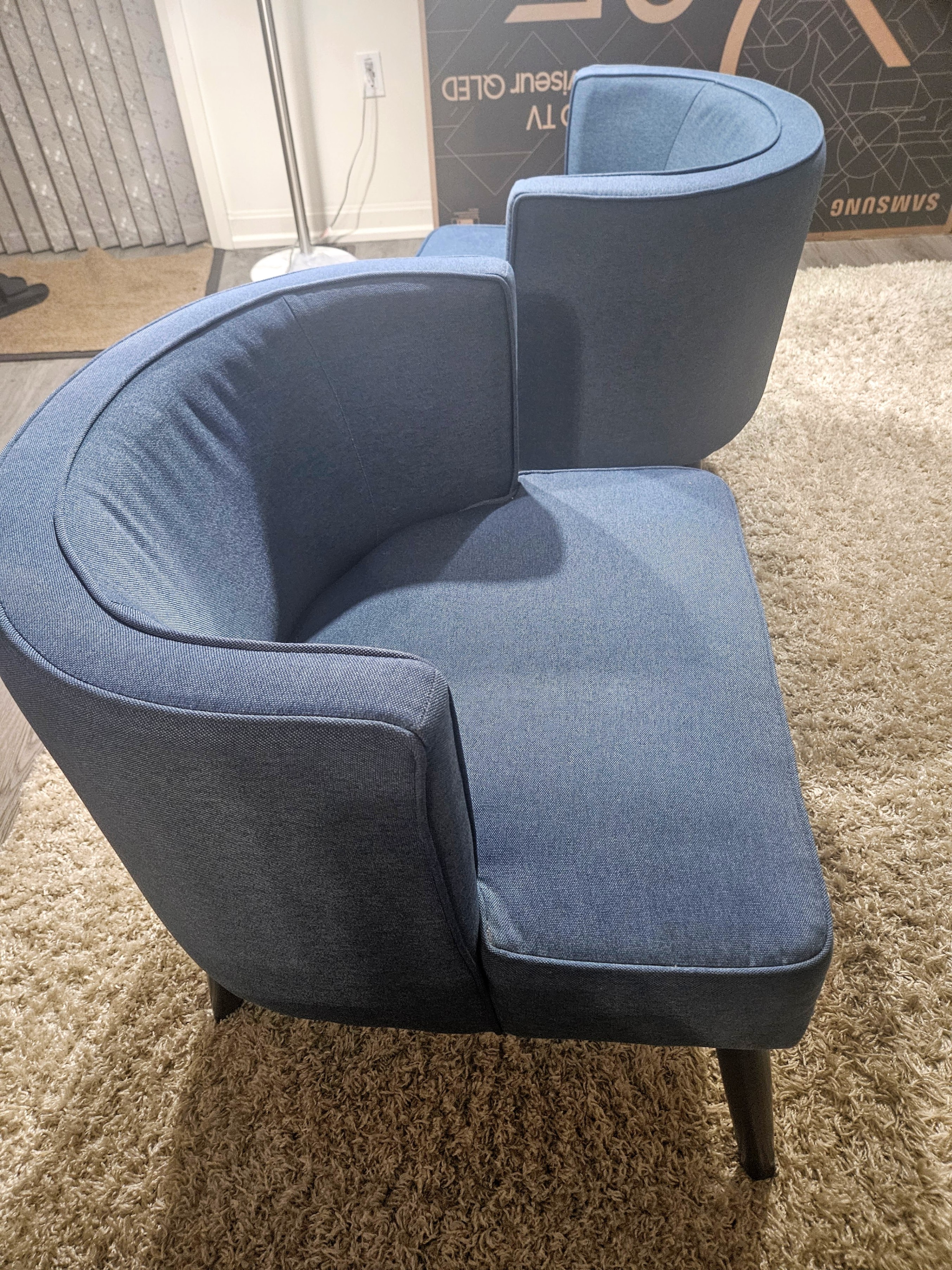 Blue Accent Chairs (Set of 2)