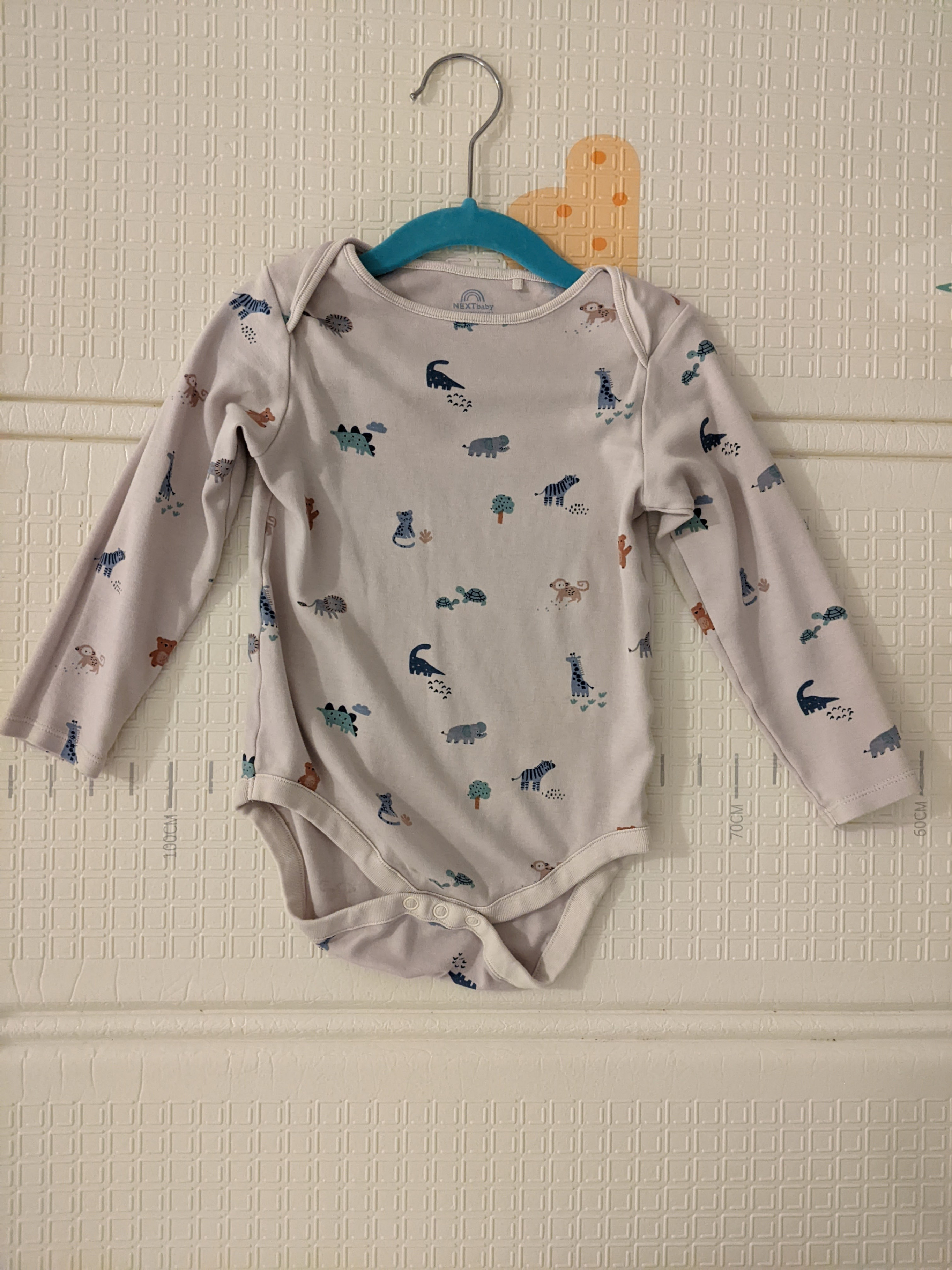 Next Baby Bodysuits and Hanna Andersson Sleepsuit - photo 2